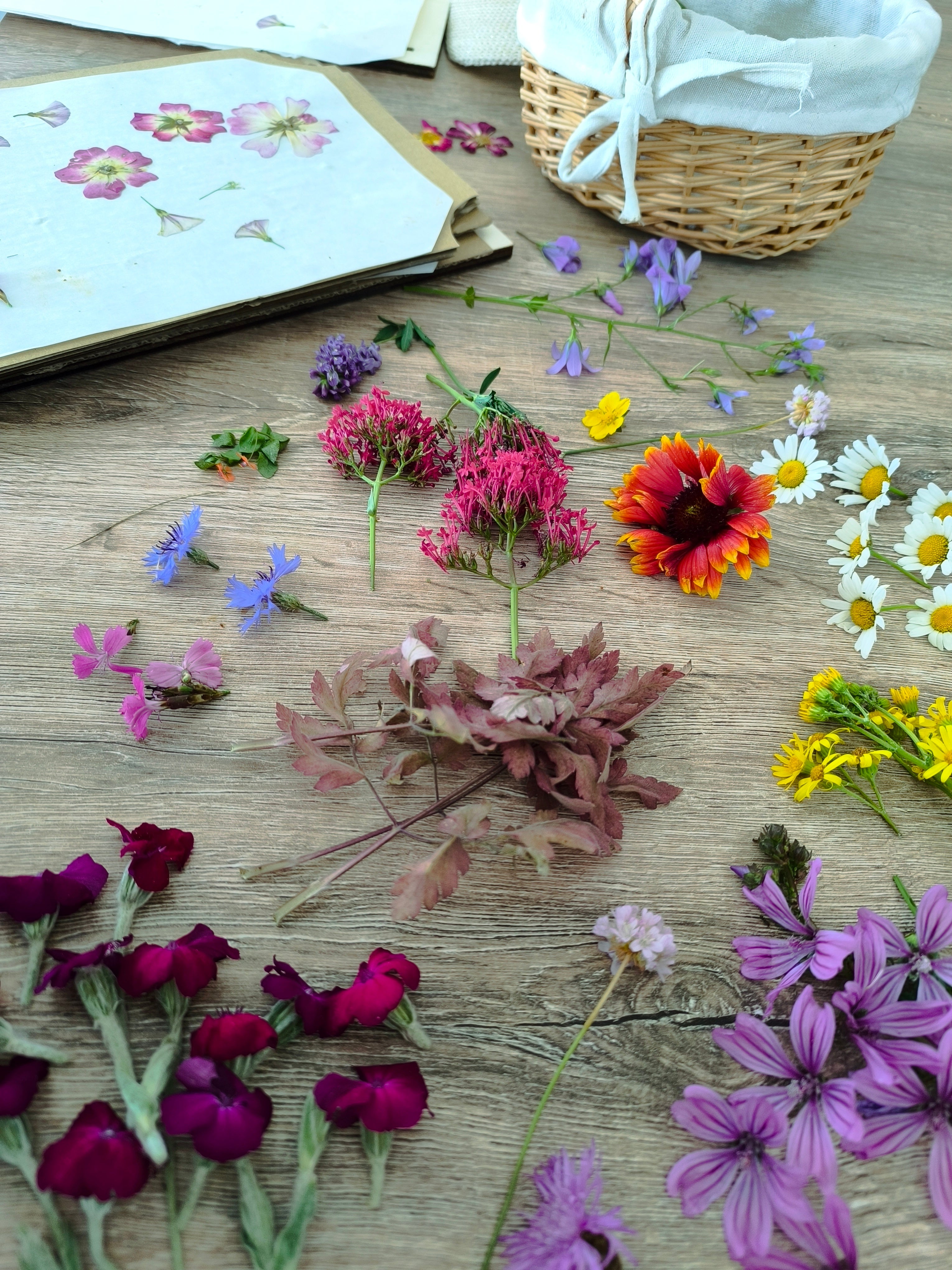 Comment faire séchées des fleurs à la maison ?