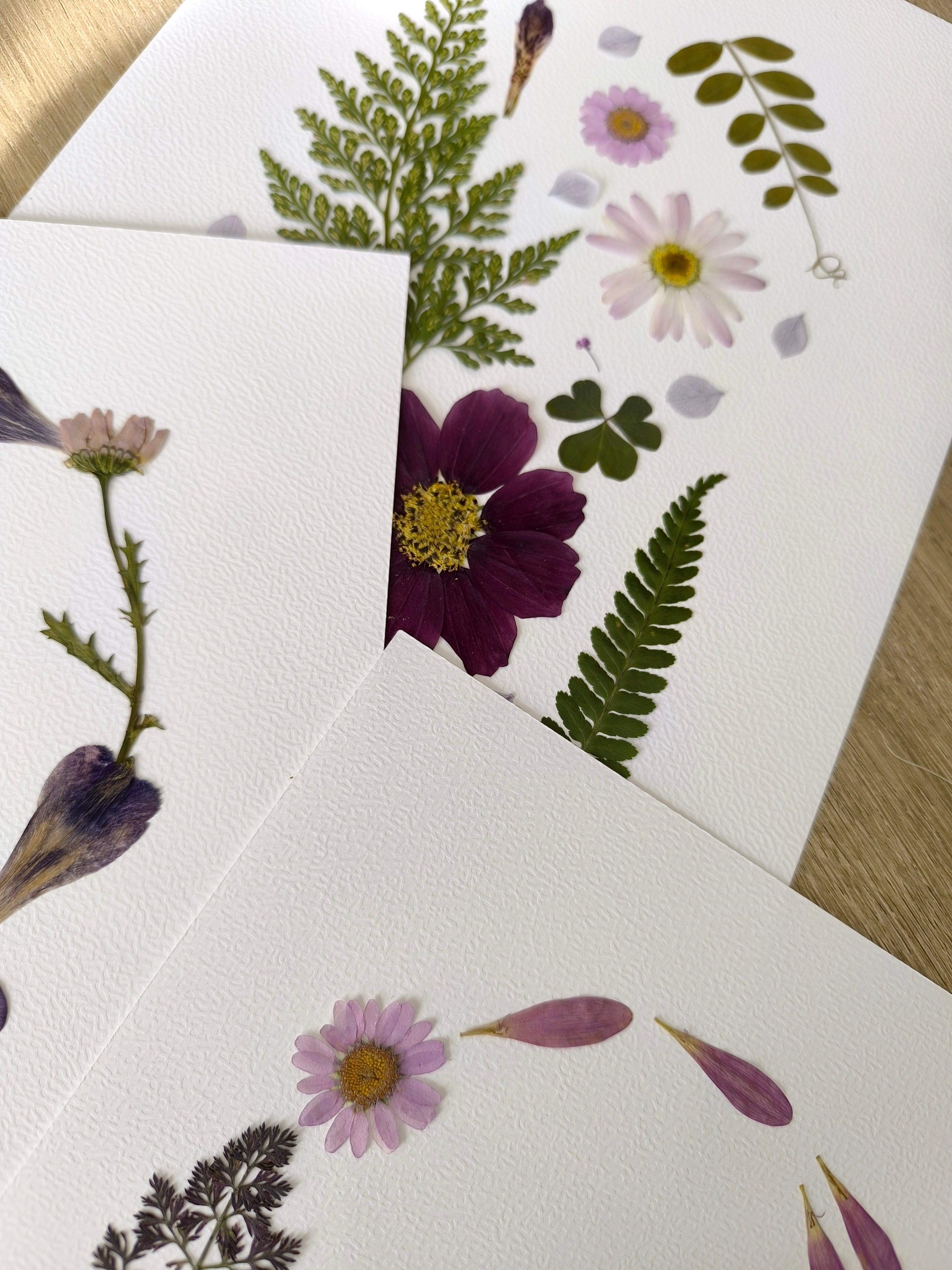 collection mauve fleurs sechées fait main