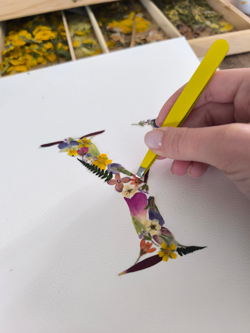 Herbier Lettre Fleurie Personnalisée en Fleurs Pressées