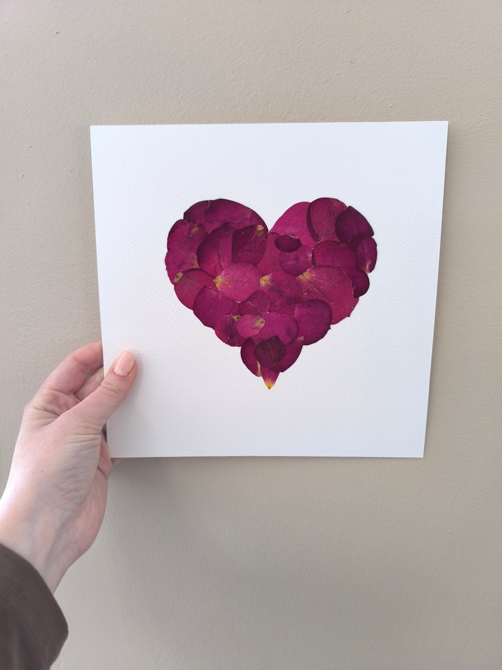 Herbier coeur de rose rouge
