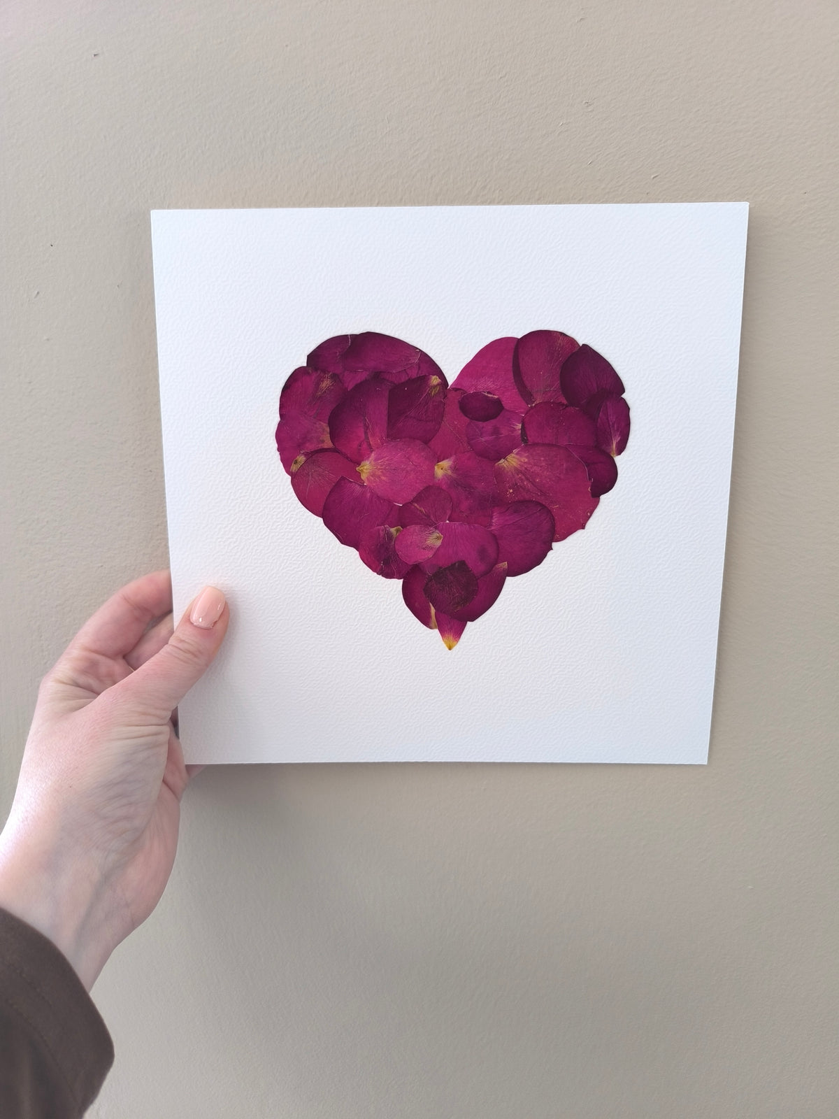Herbier coeur de rose rouge