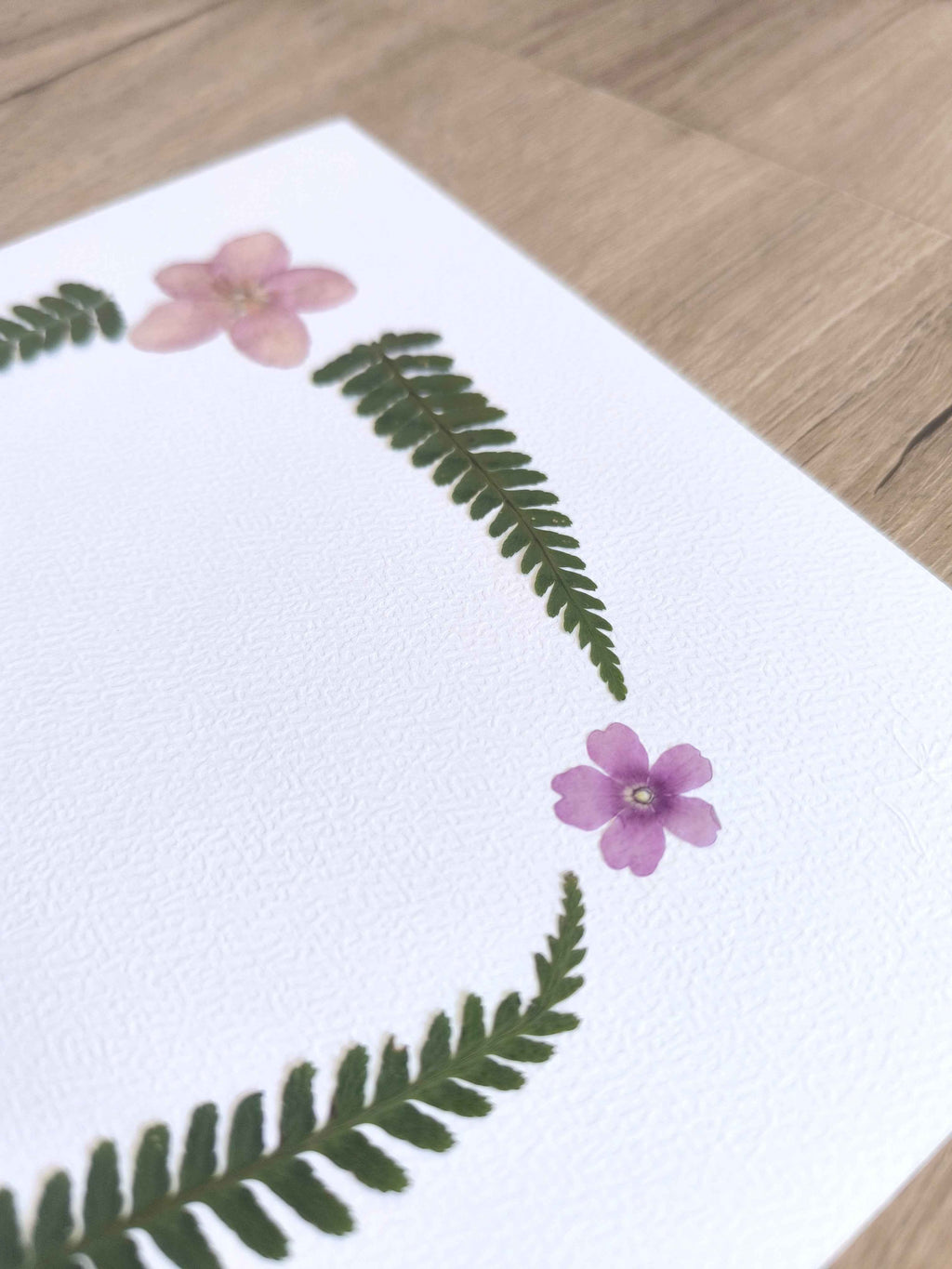 Herbier fleurs séchées et fougères sur papier texturé, décoration naturelle artisanale