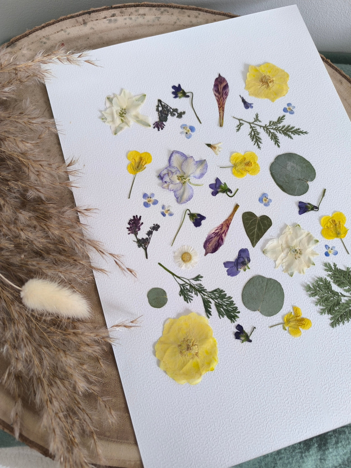 Herbier fleurs séchées printanier