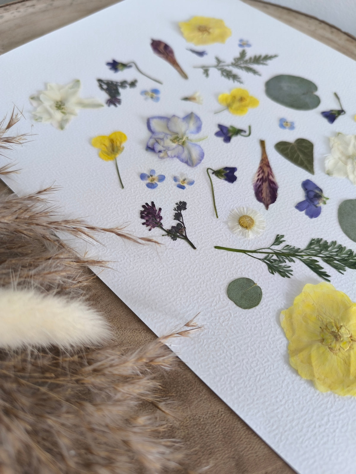 Herbier fleurs séchées printanier