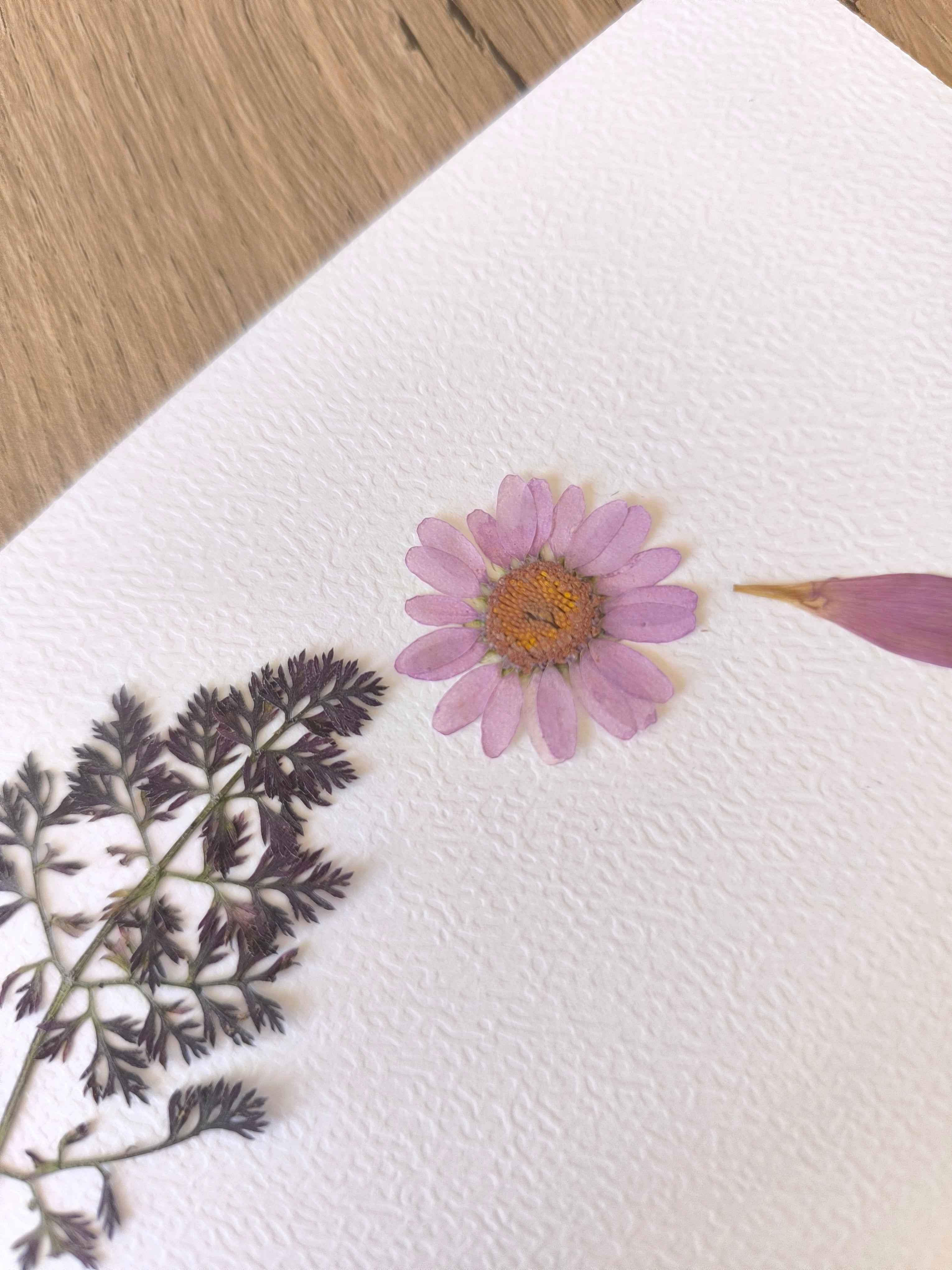 Fleur séchée rose et feuillage pour herbier ou cadre floral artisanal