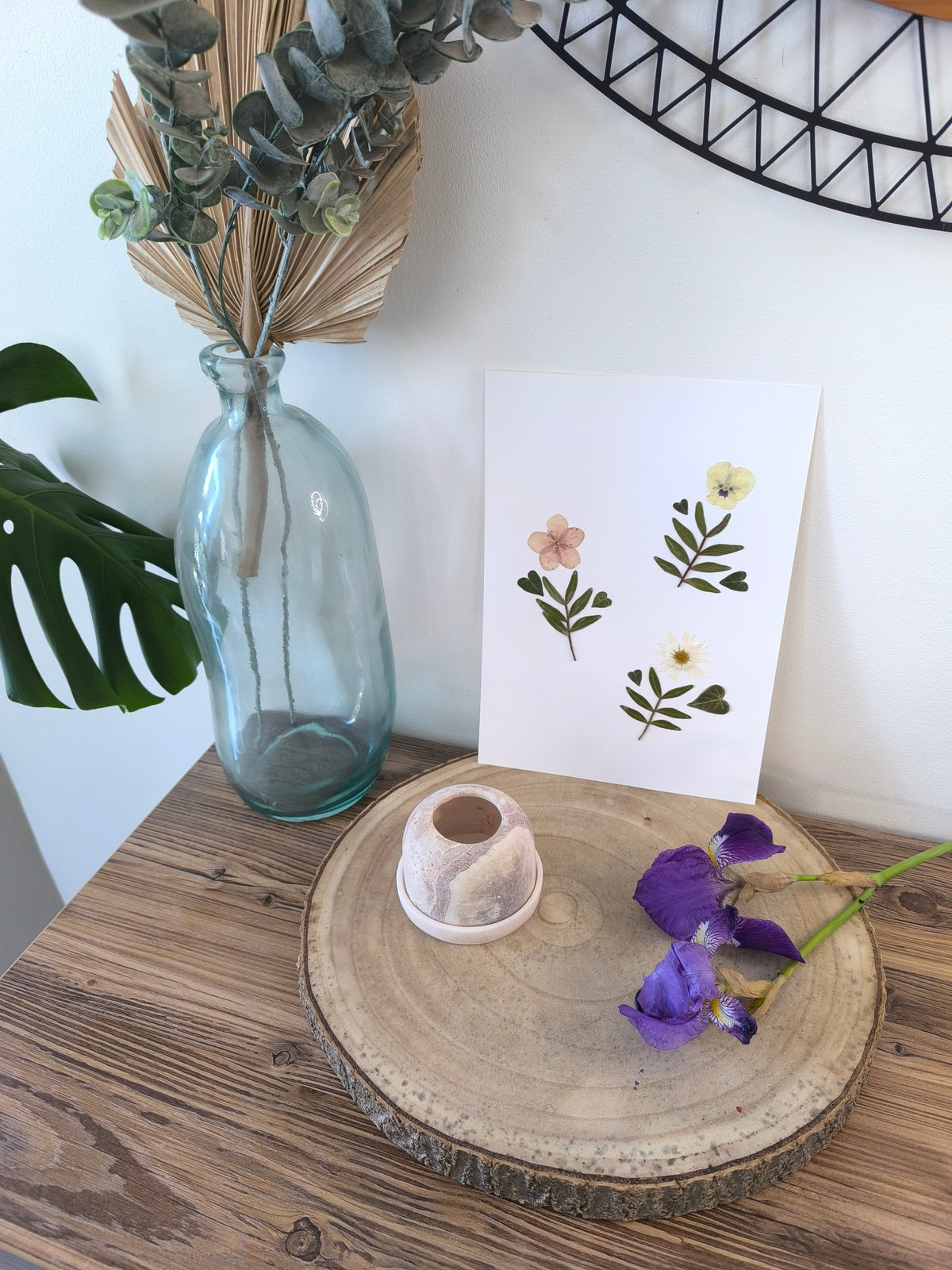 Herbier trio fleurs séchées