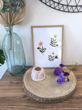 Herbier trio fleurs séchées