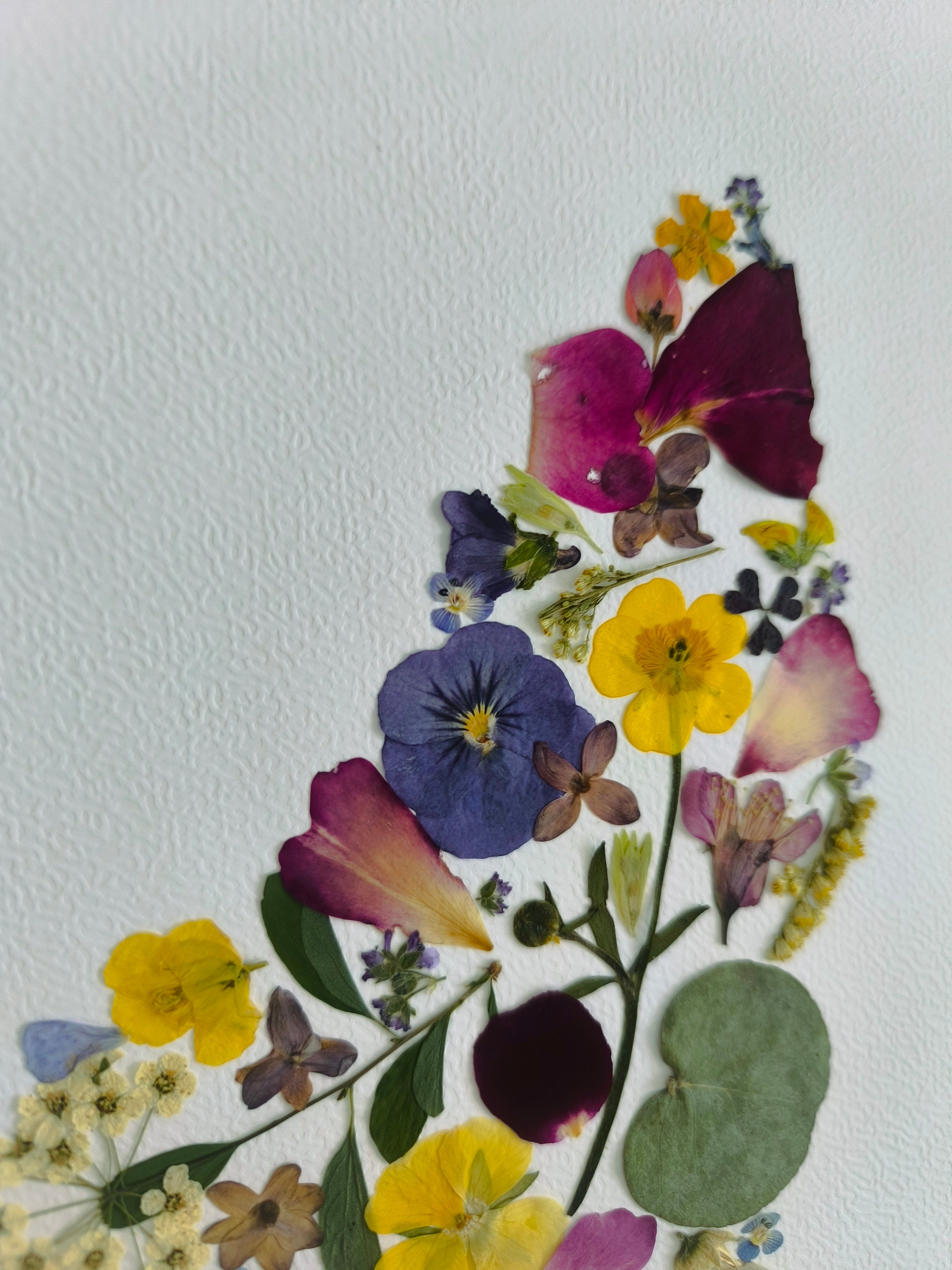 Herbier fleurs pressées Ardèche - vue détail - La Fabrique de Lucile