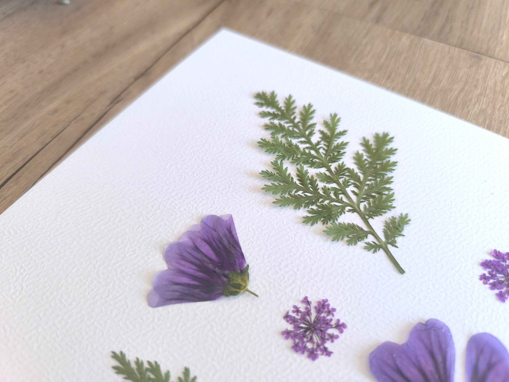 herbier cadre mauve fleurs séchées