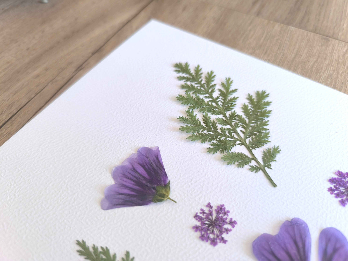 herbier cadre mauve fleurs séchées