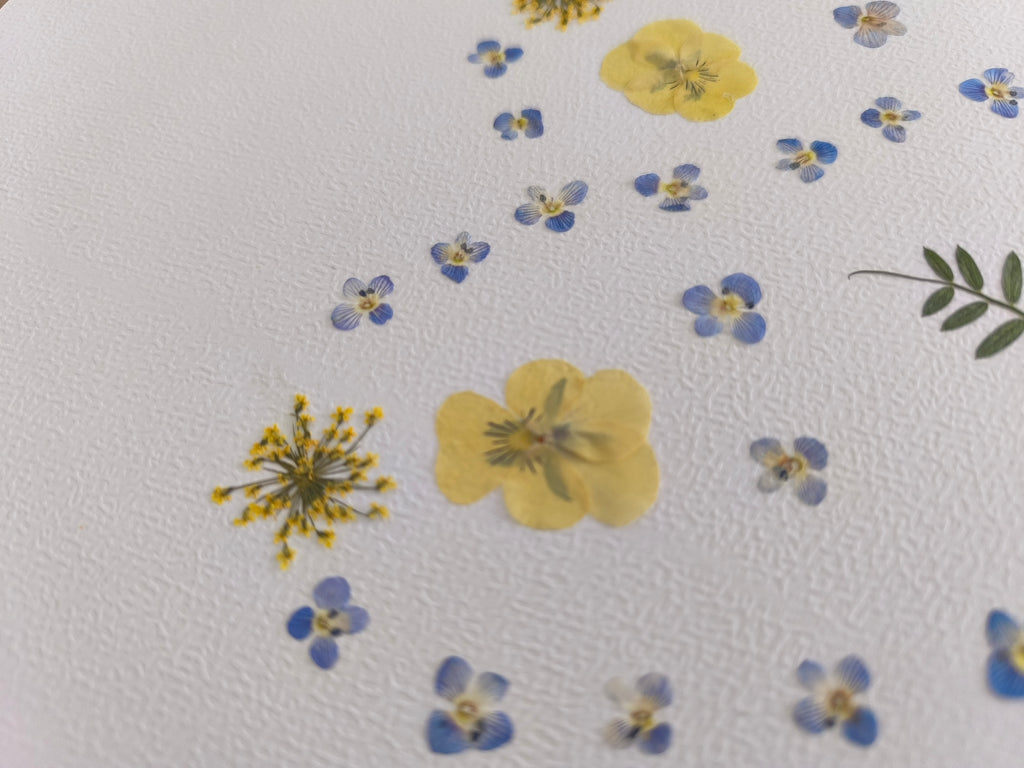 herbier coeur fleurs séchées