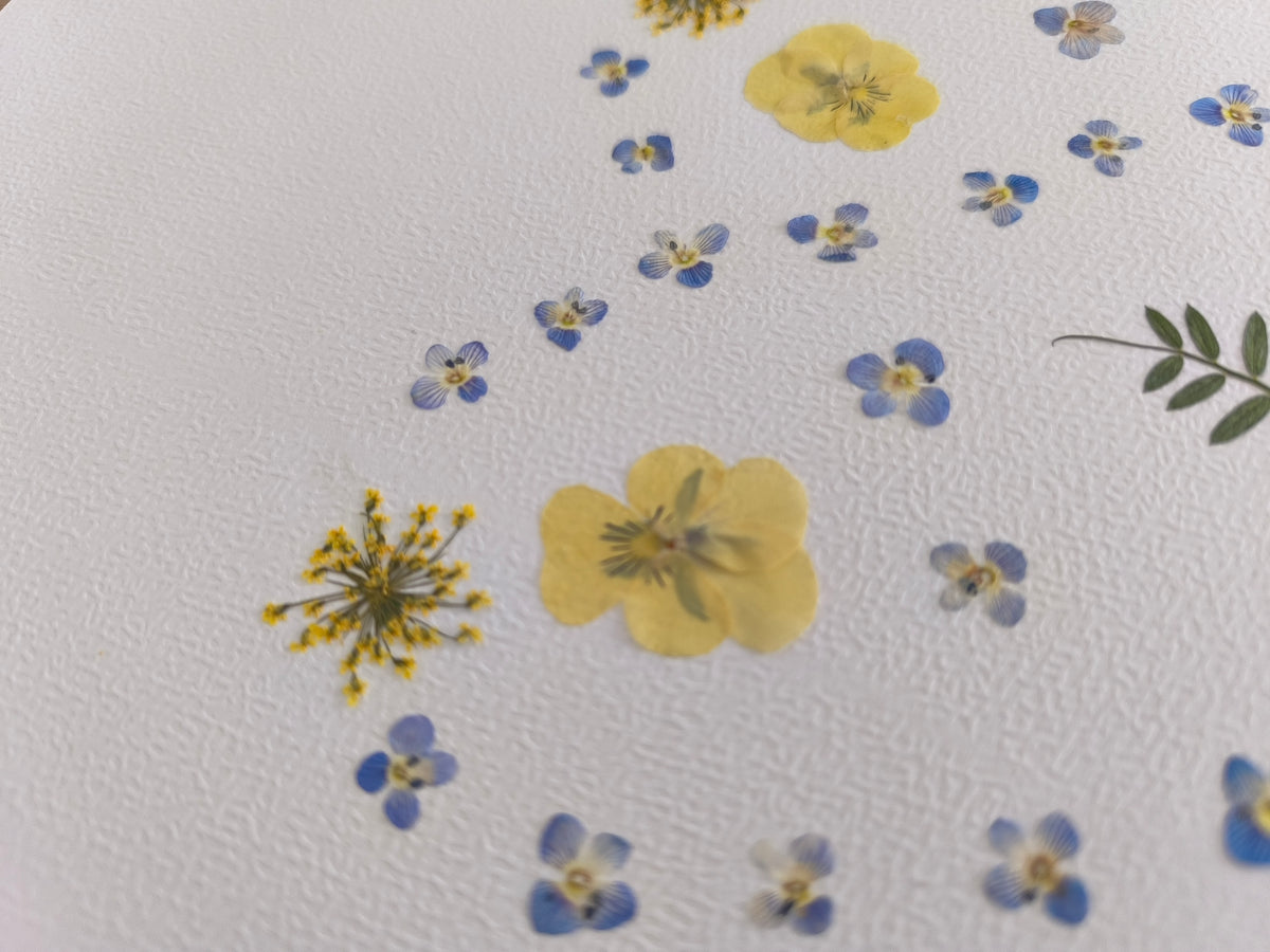 herbier coeur fleurs séchées