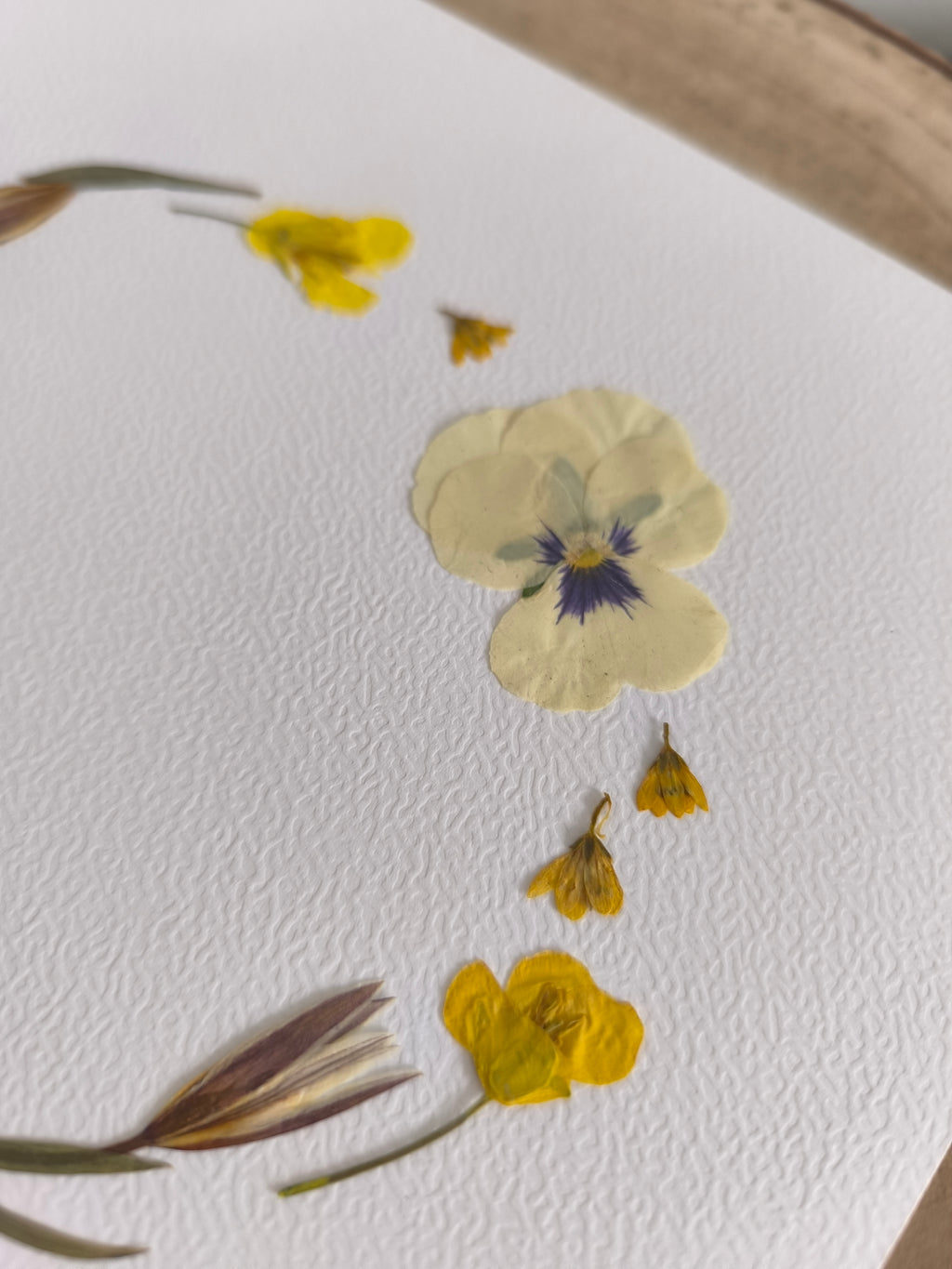 herbier couronne fleurs séchées