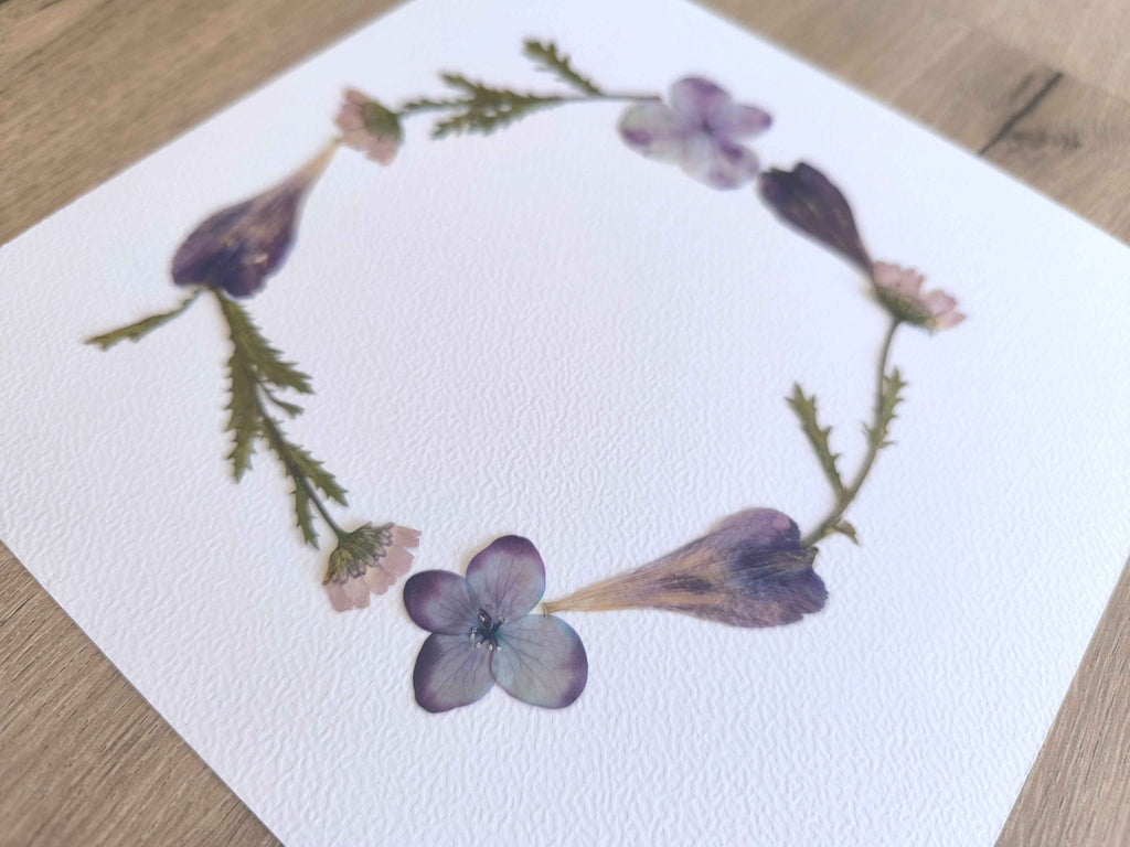 herbier couronne lys des incas hortensia