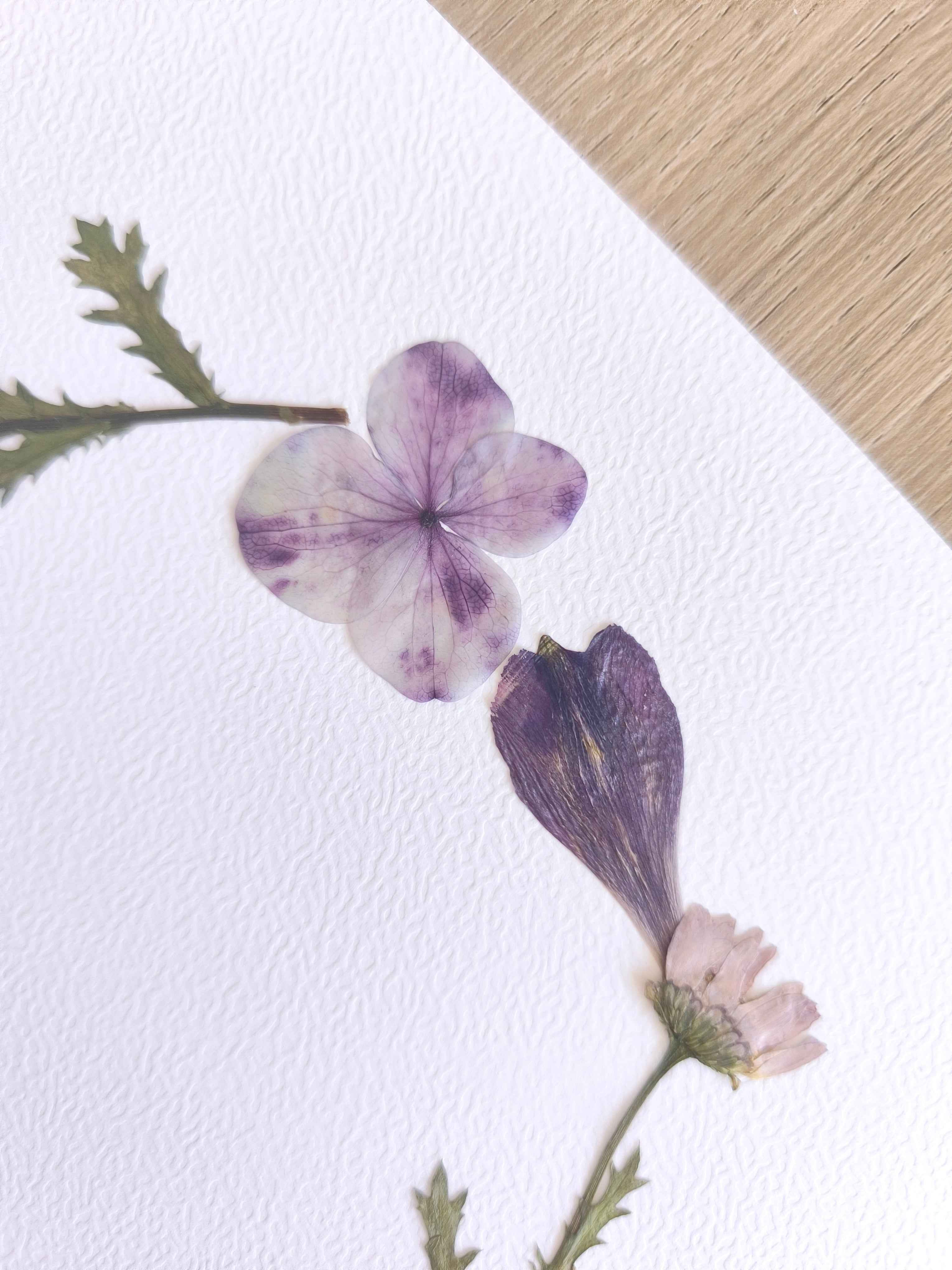 Fleurs séchées artisanales violettes sur papier texturé, décoration naturelle poétique