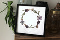 herbier couronne lys des incas hortensia