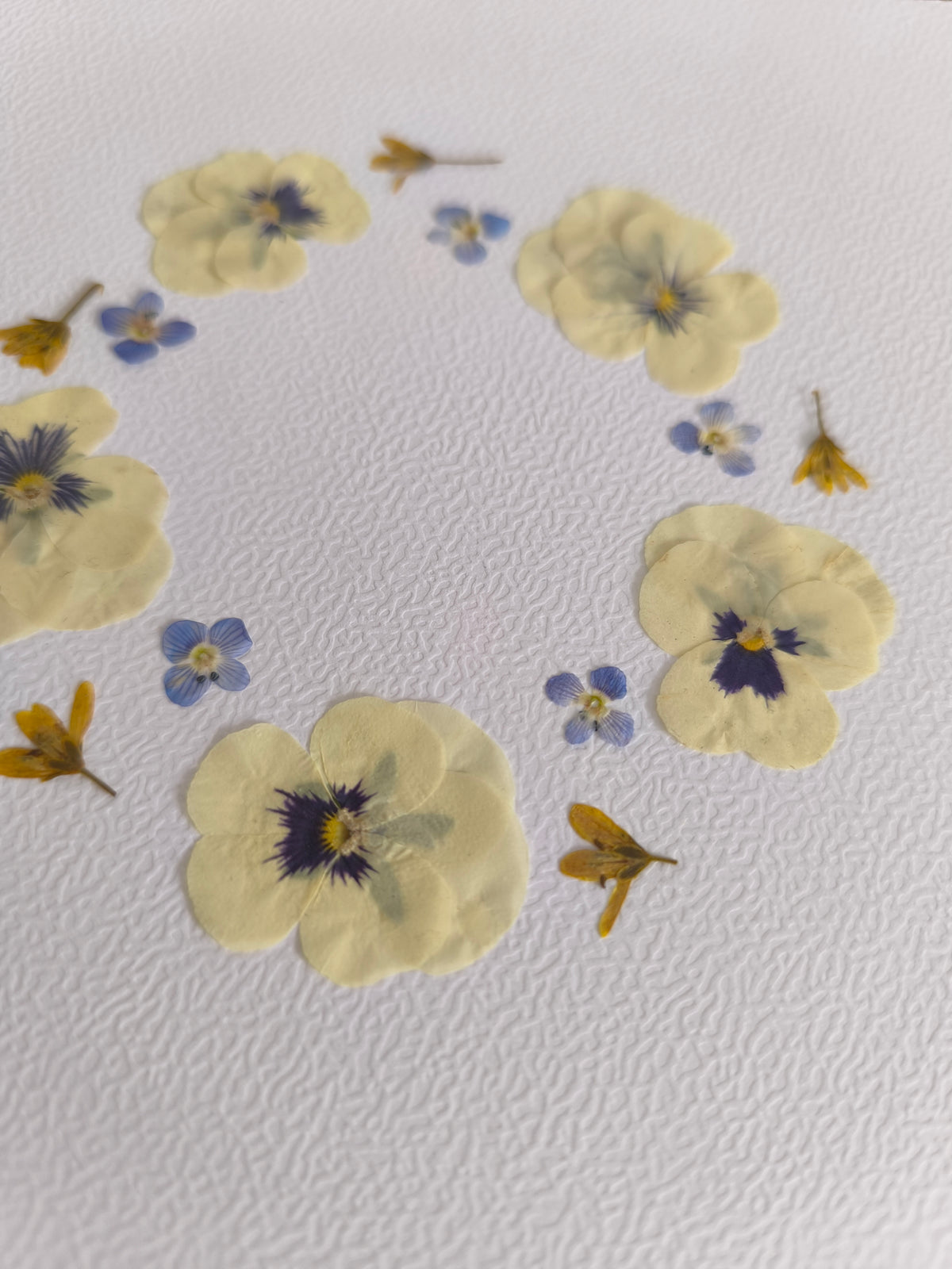 herbier couronne pensées fleurs séchées