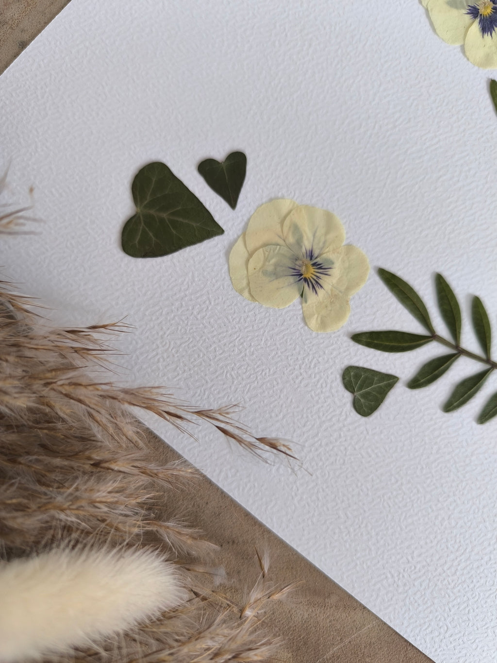 herbier duo fleurs séchées