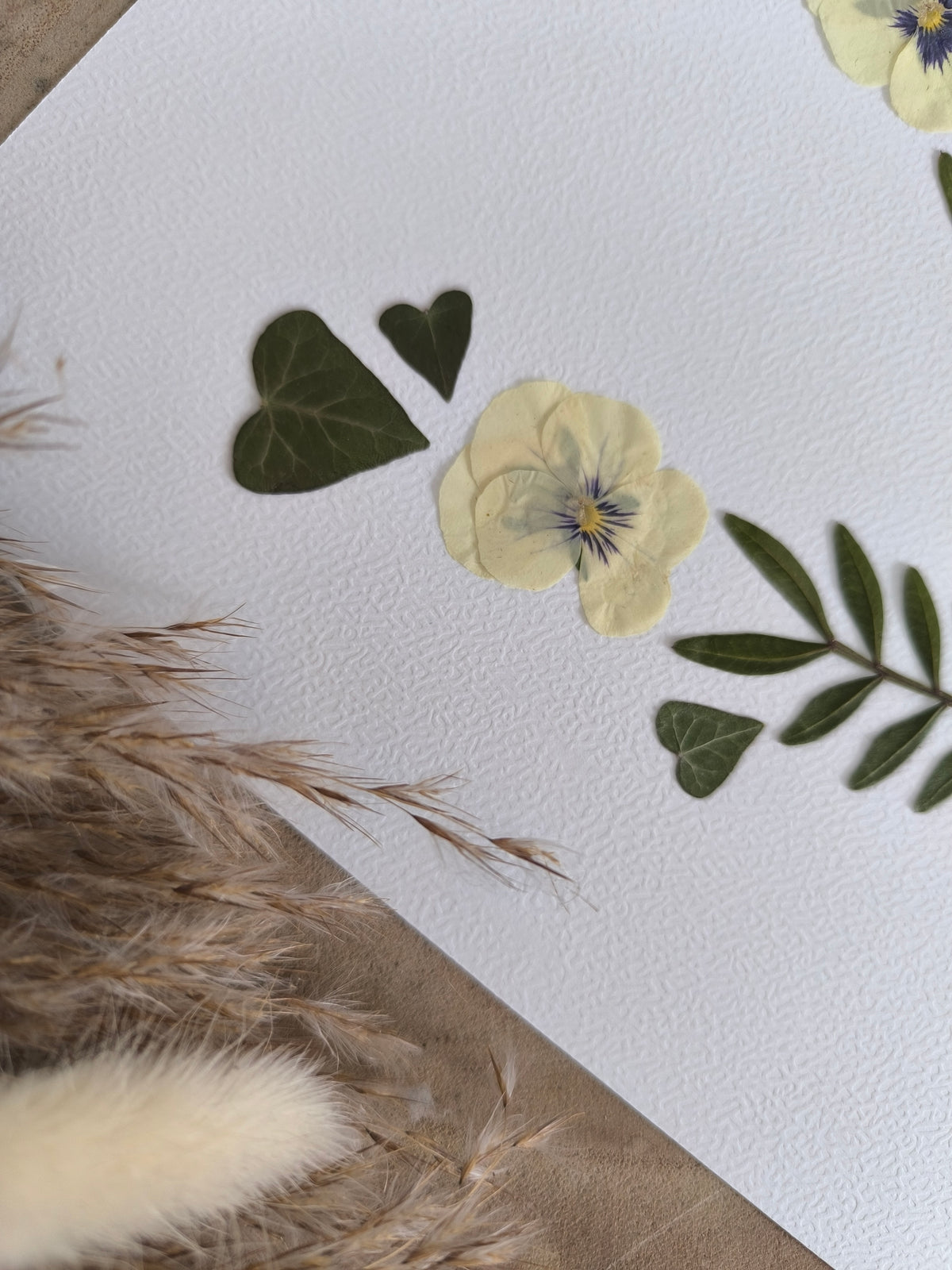 herbier duo fleurs séchées
