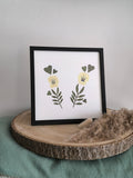 herbier duo fleurs séchées