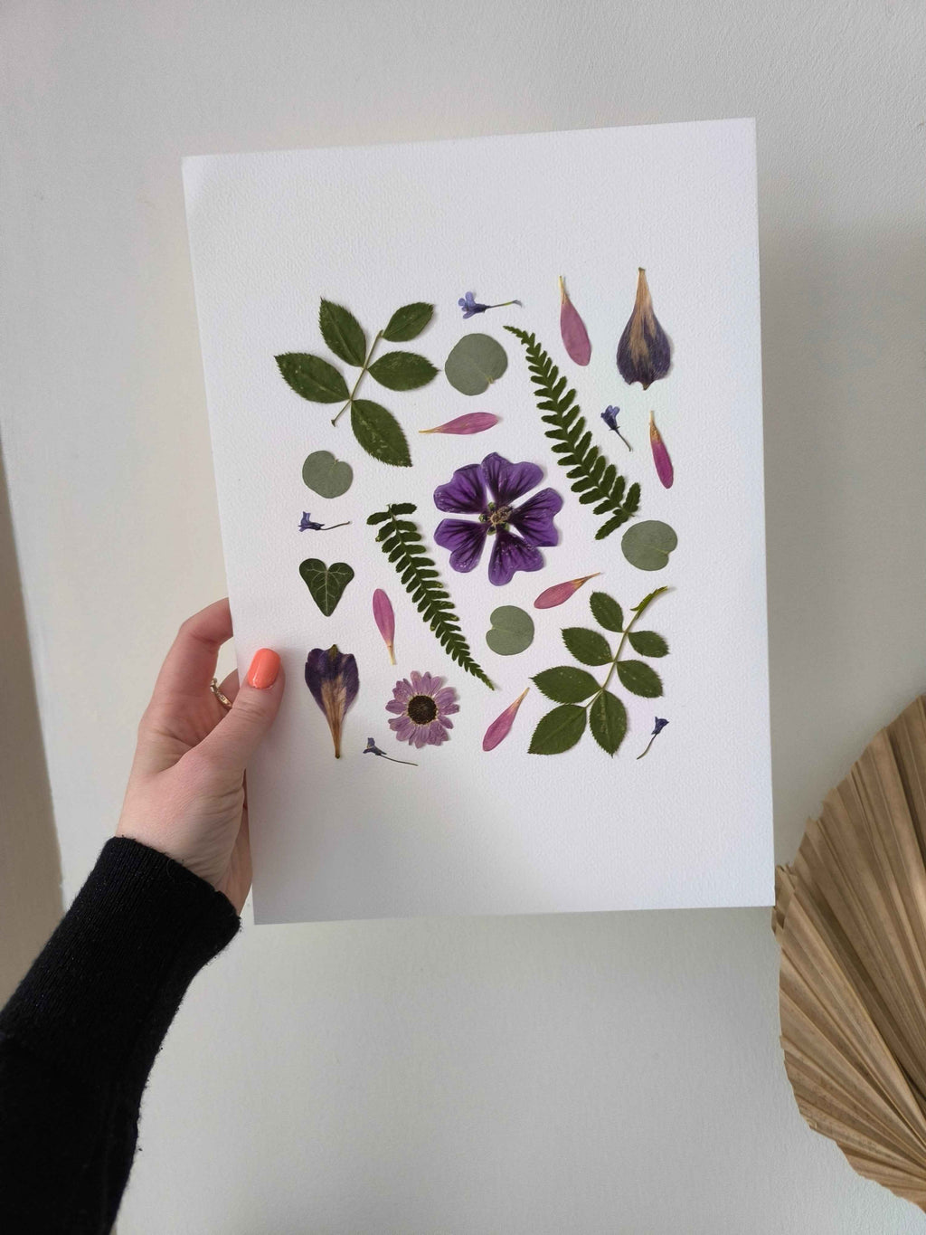 herbier fleurs séchées feuilles