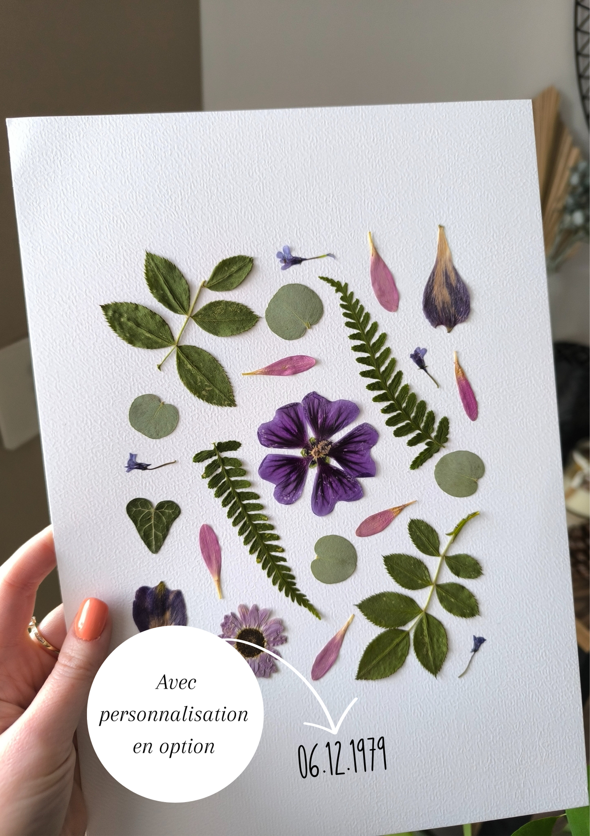 herbier fleurs séchées feuilles