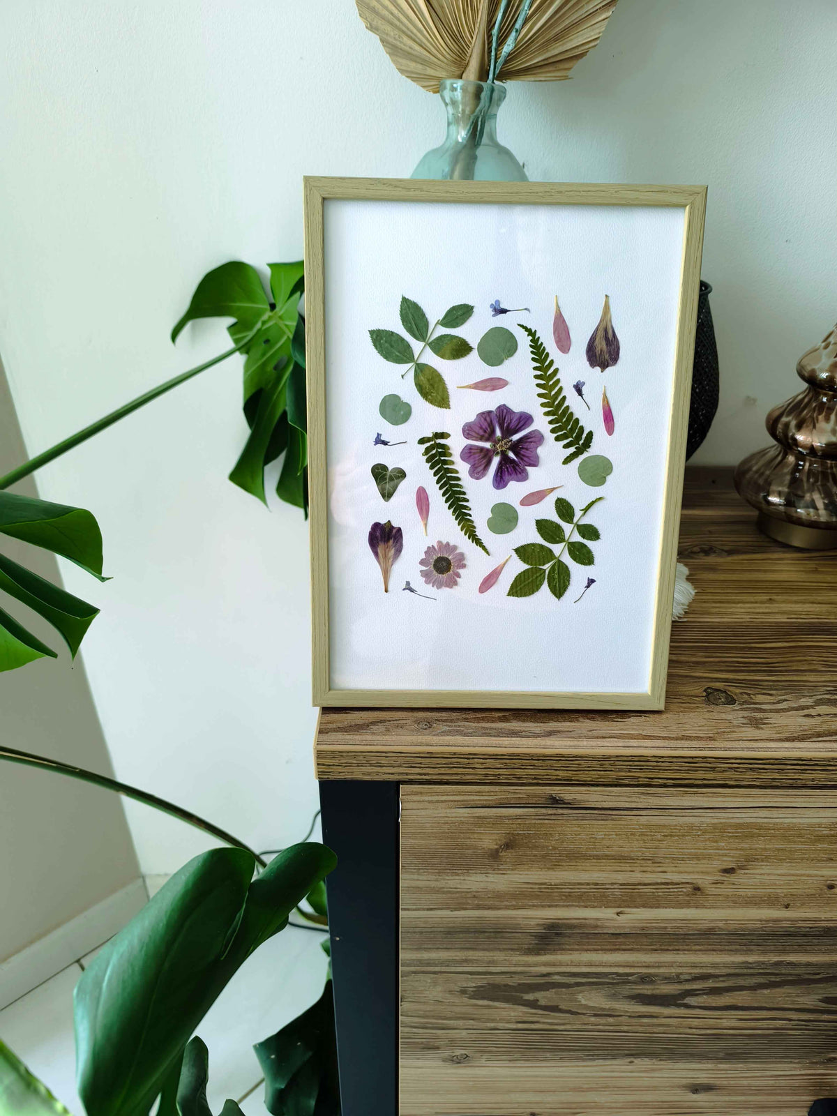 herbier fleurs séchées feuilles