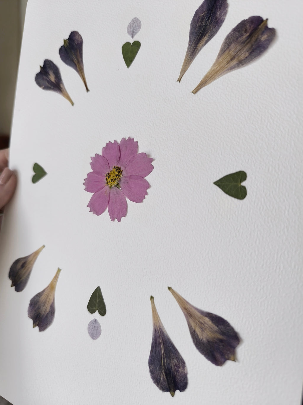 herbier lys cosmos fleurs séchées