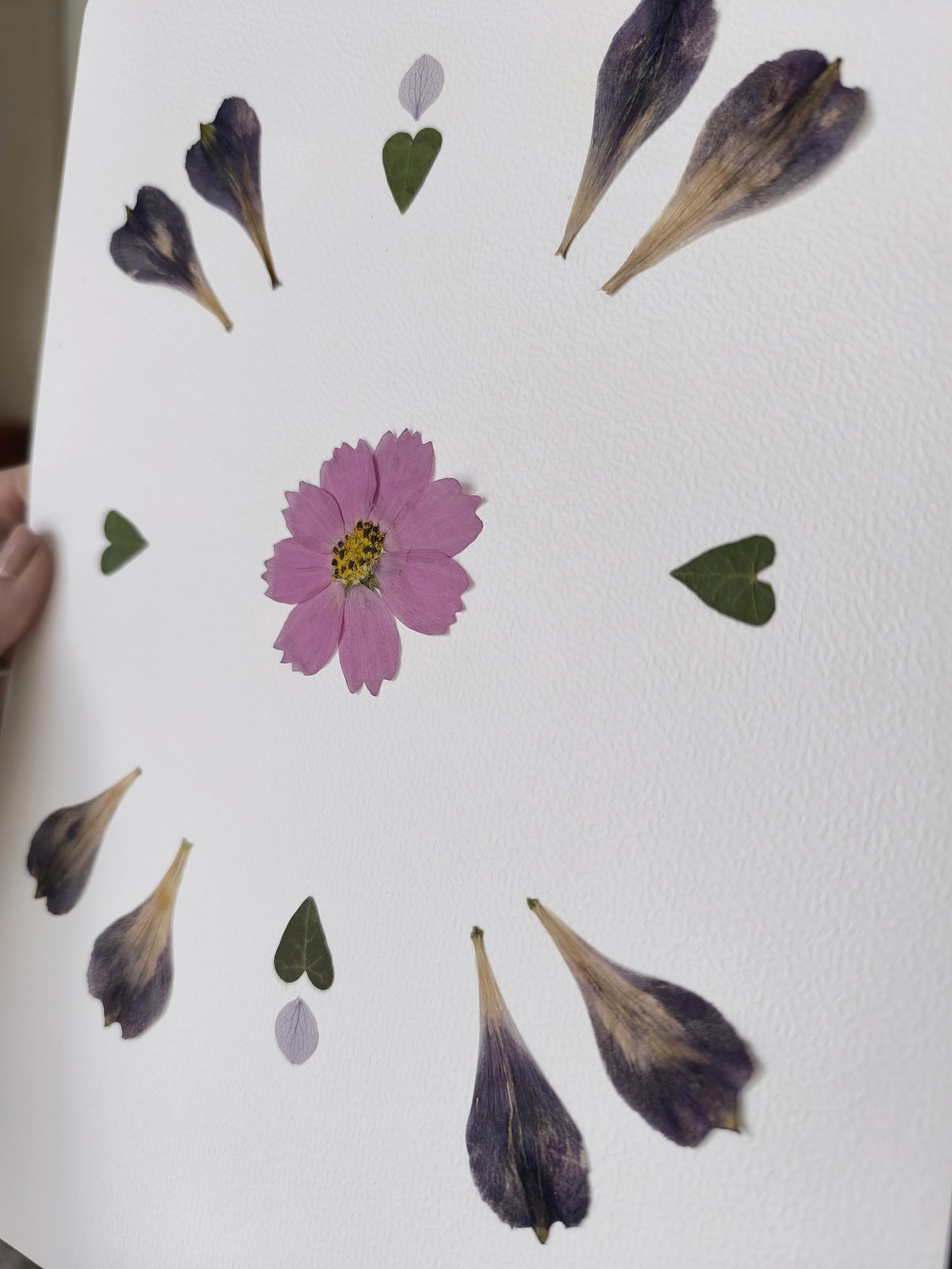 herbier lys cosmos fleurs séchées