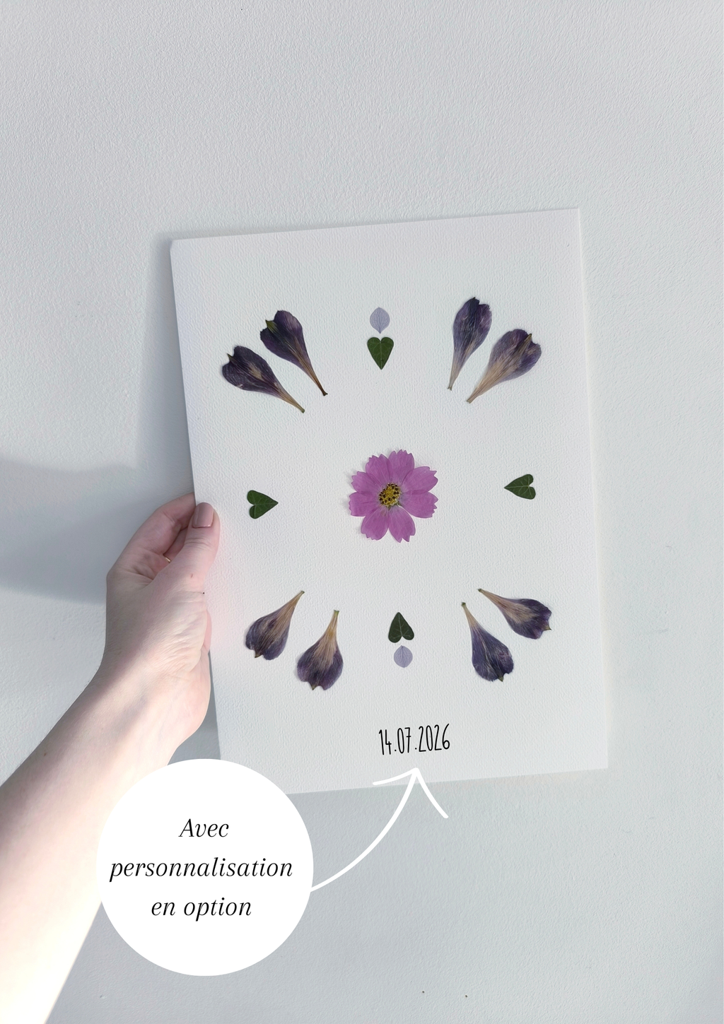 herbier lys cosmos fleurs séchées