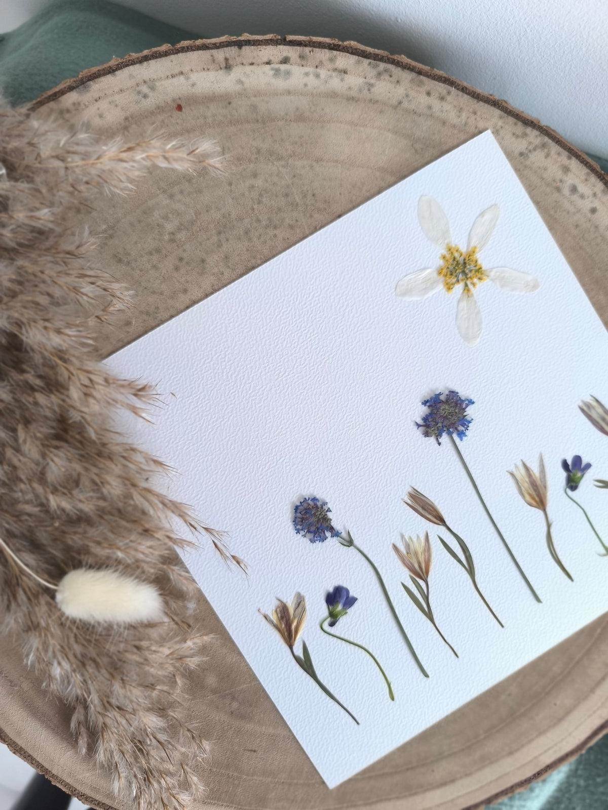herbier paysage fleurs séchées