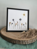 herbier paysage fleurs séchées