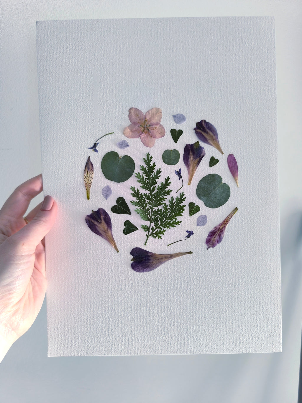 herbier rond fleurs nature