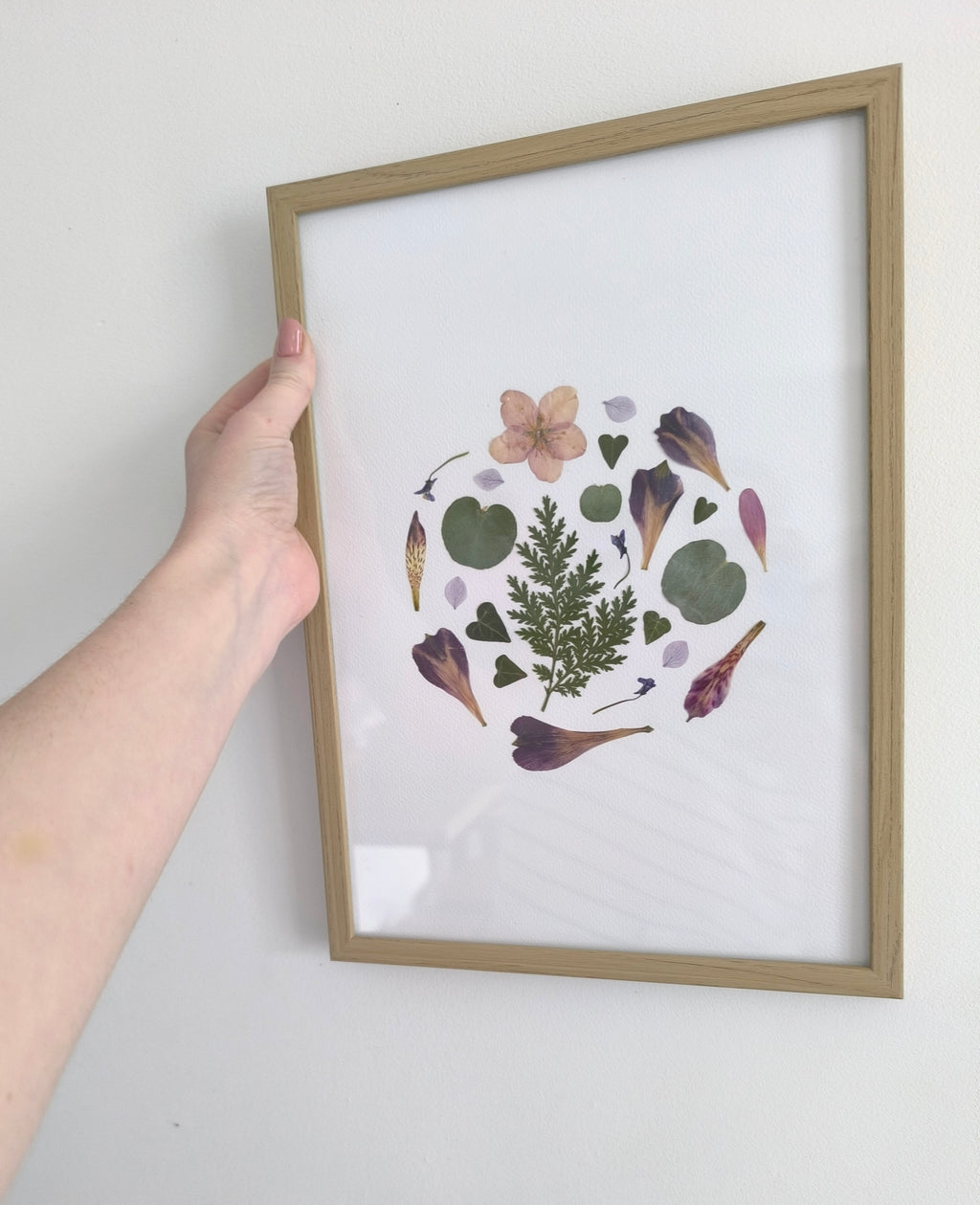 herbier rond fleurs nature