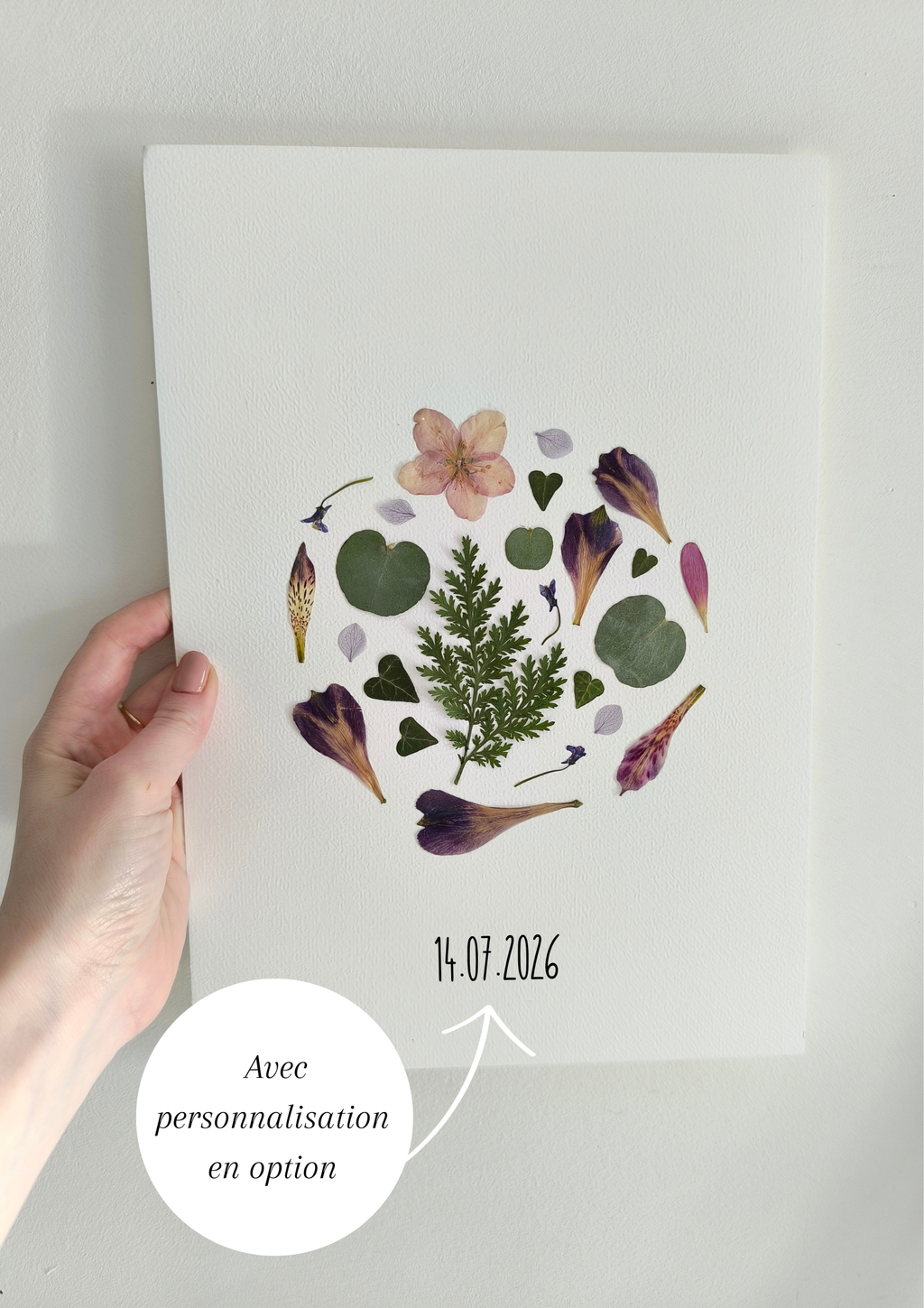 herbier rond fleurs nature