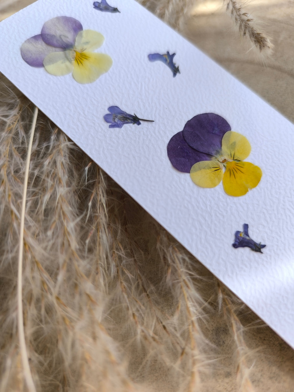 marque page pensées fleurs séchées