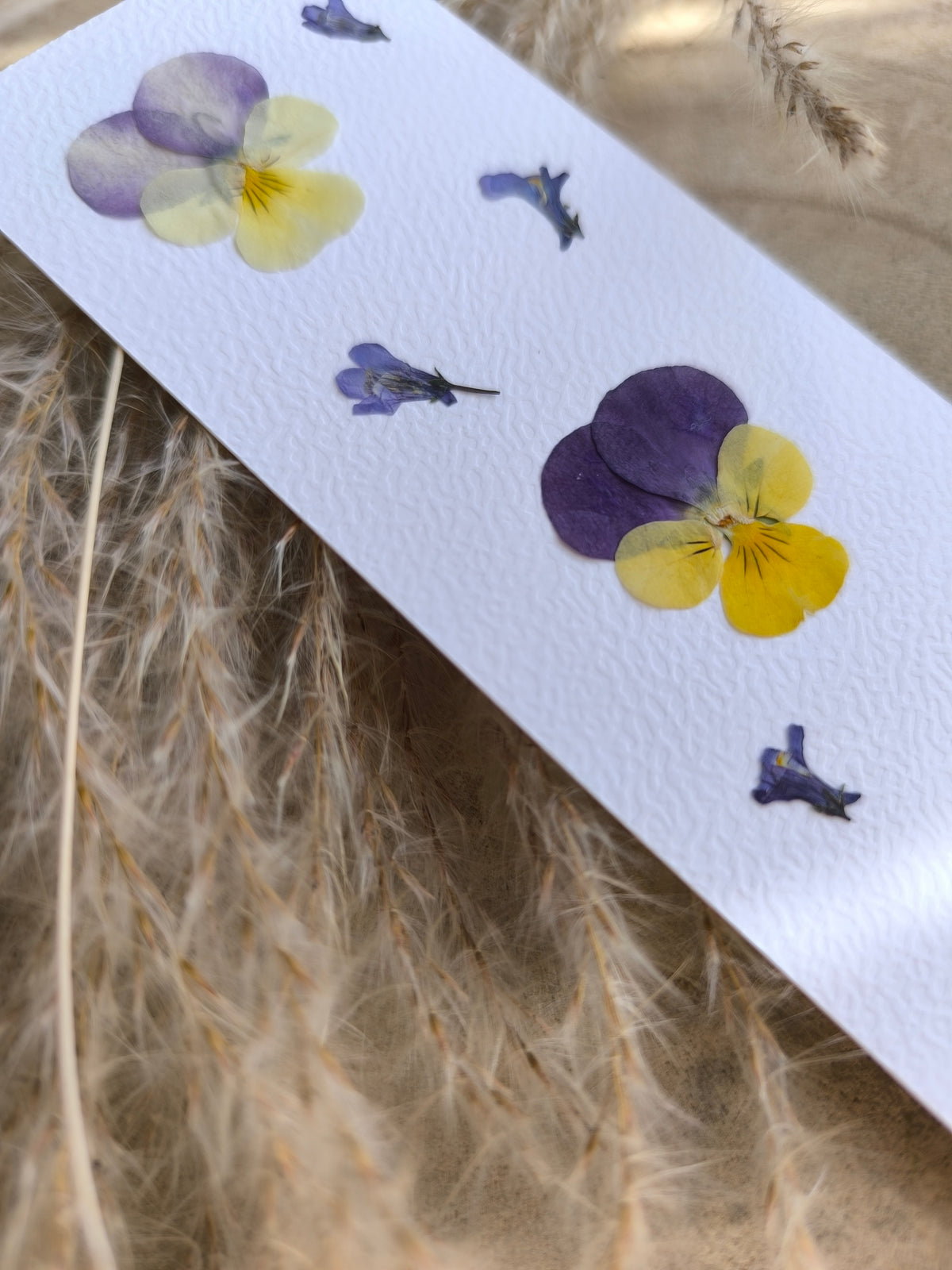 marque page pensées fleurs séchées