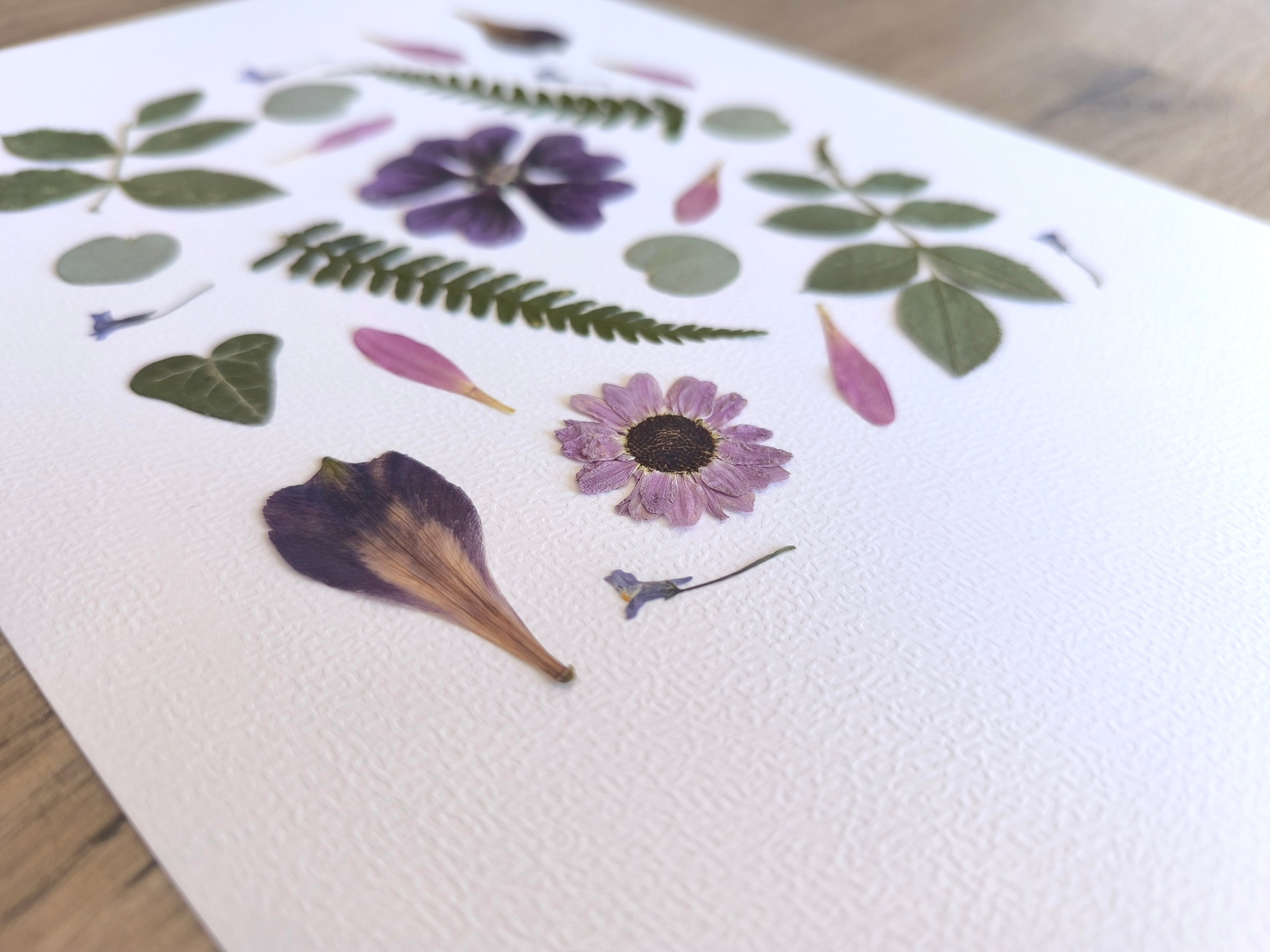 Herbier – Éclat de Fleurs & Feuillages