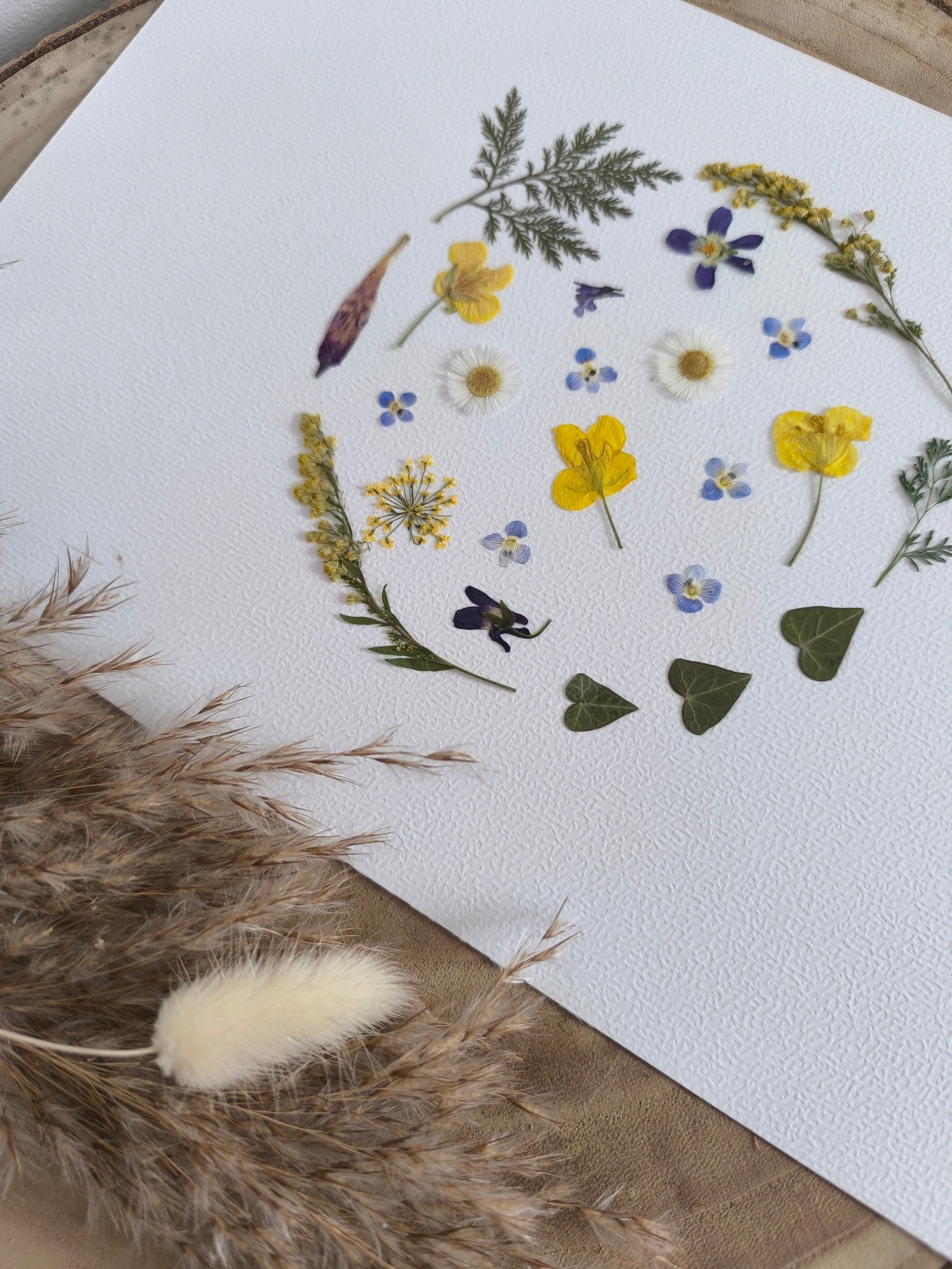 Herbier artisanale en fleurs pressées - Rond printanier