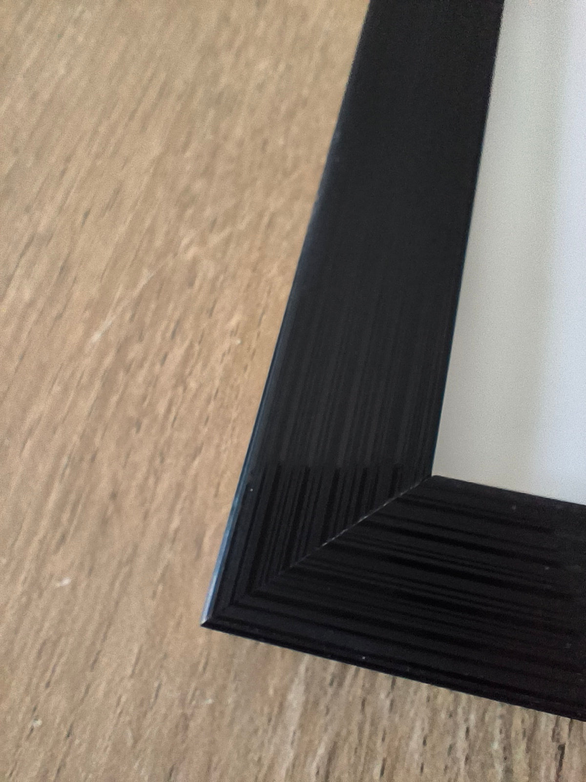 Herbier - Mauve des bois