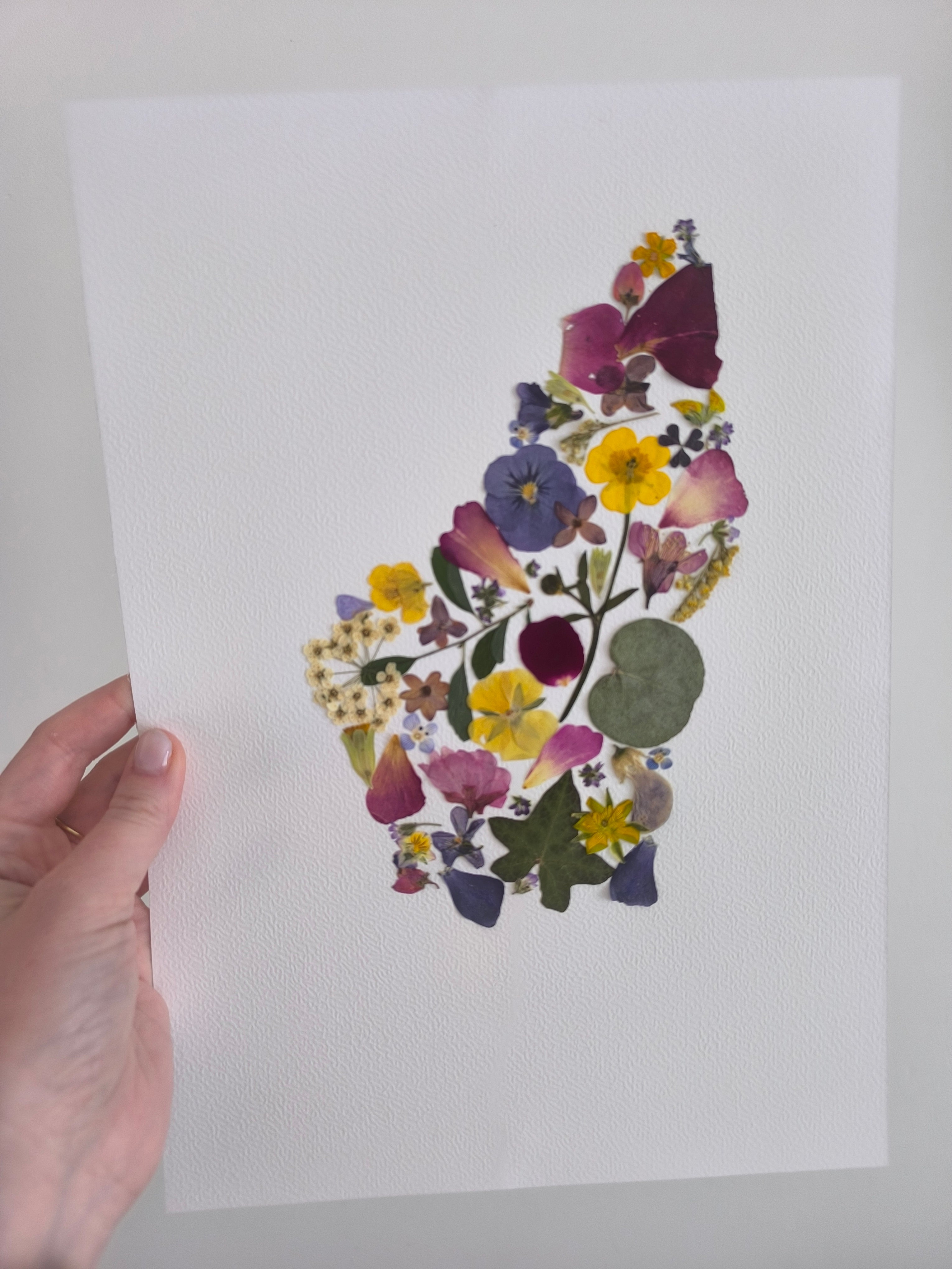 Herbier - département Ardèche - Pays