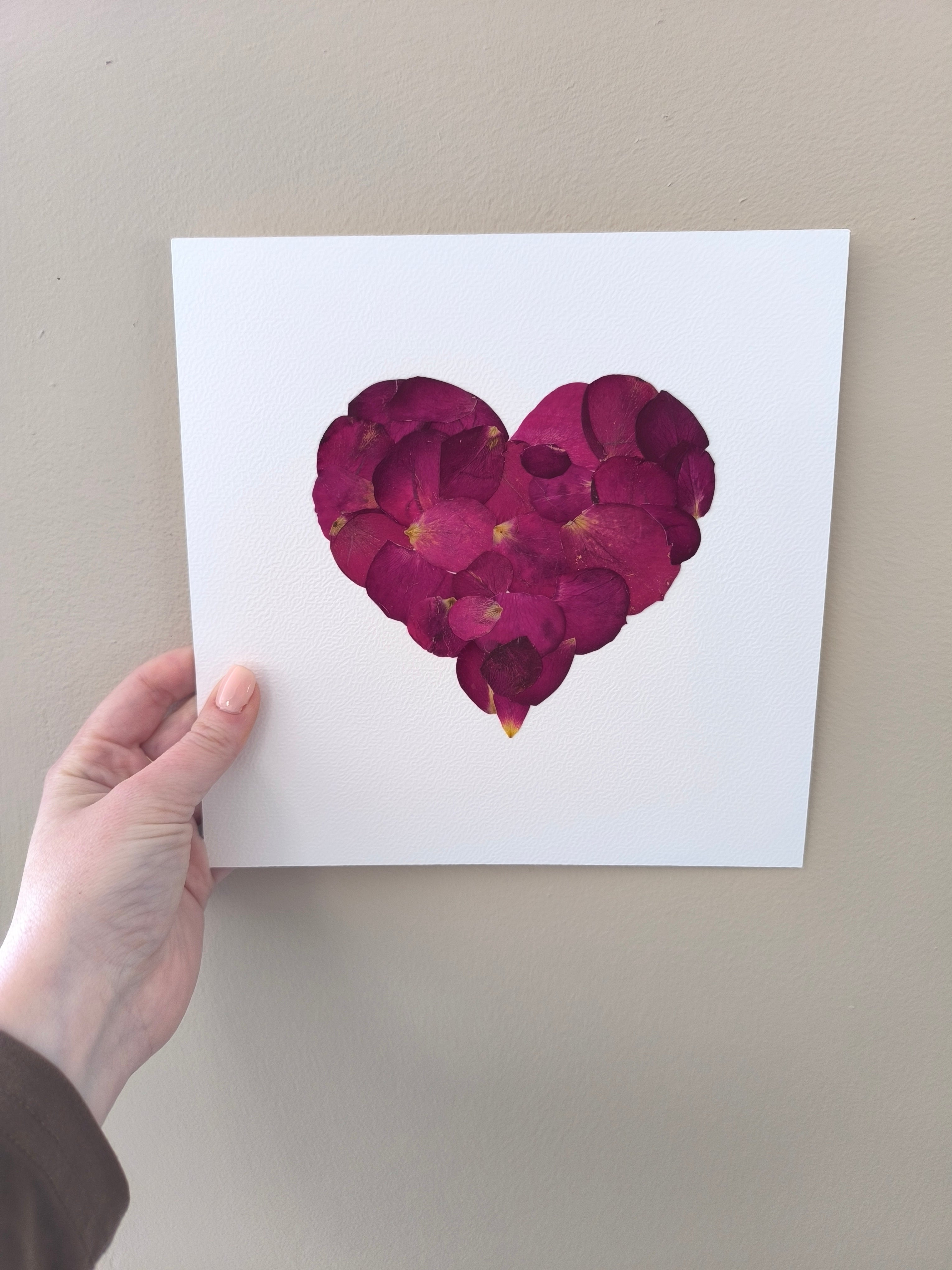 Herbier - coeur de rose rouge