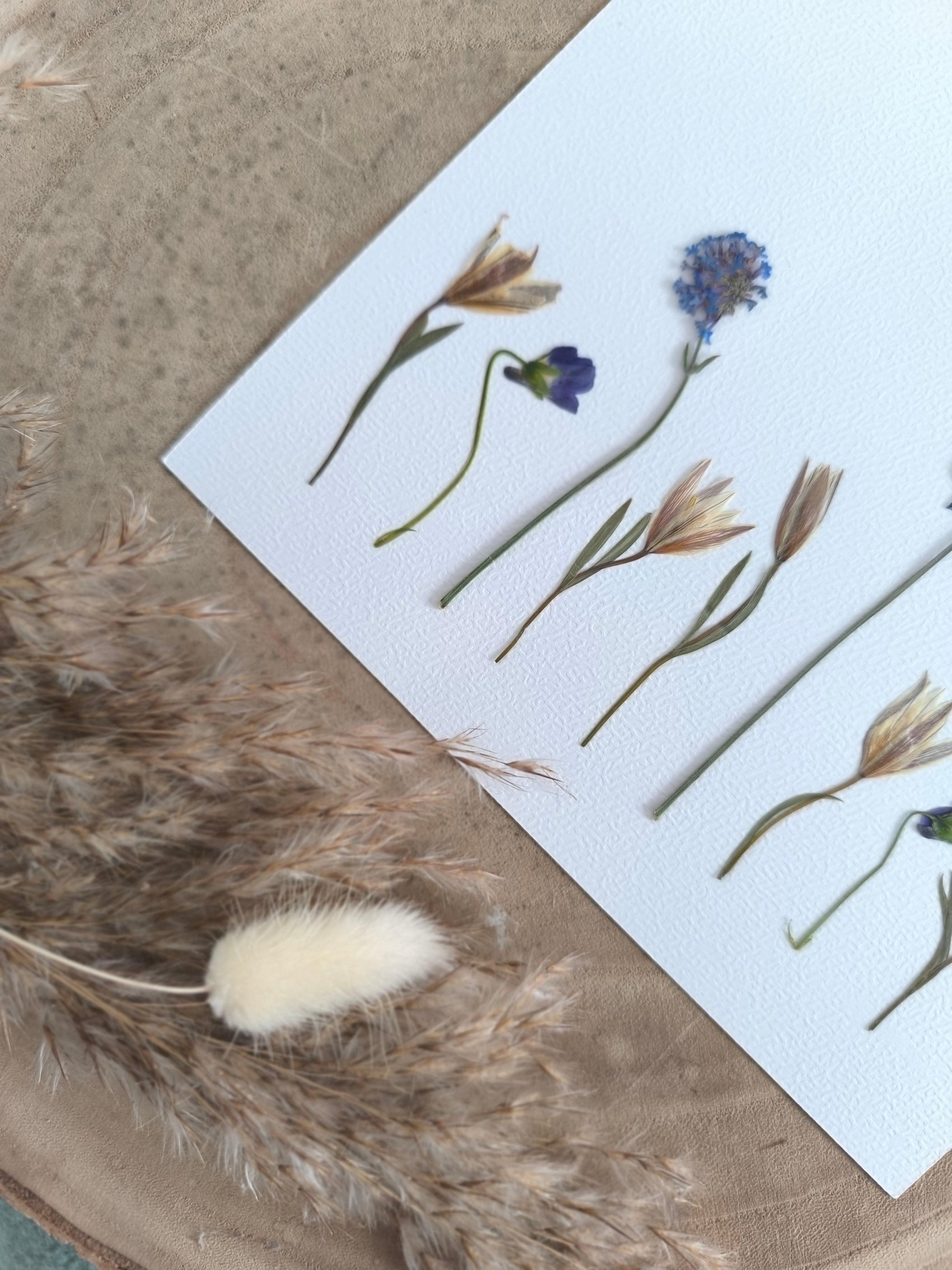 Herbier floral artisanal – Paysage ensoleillé Fleuri