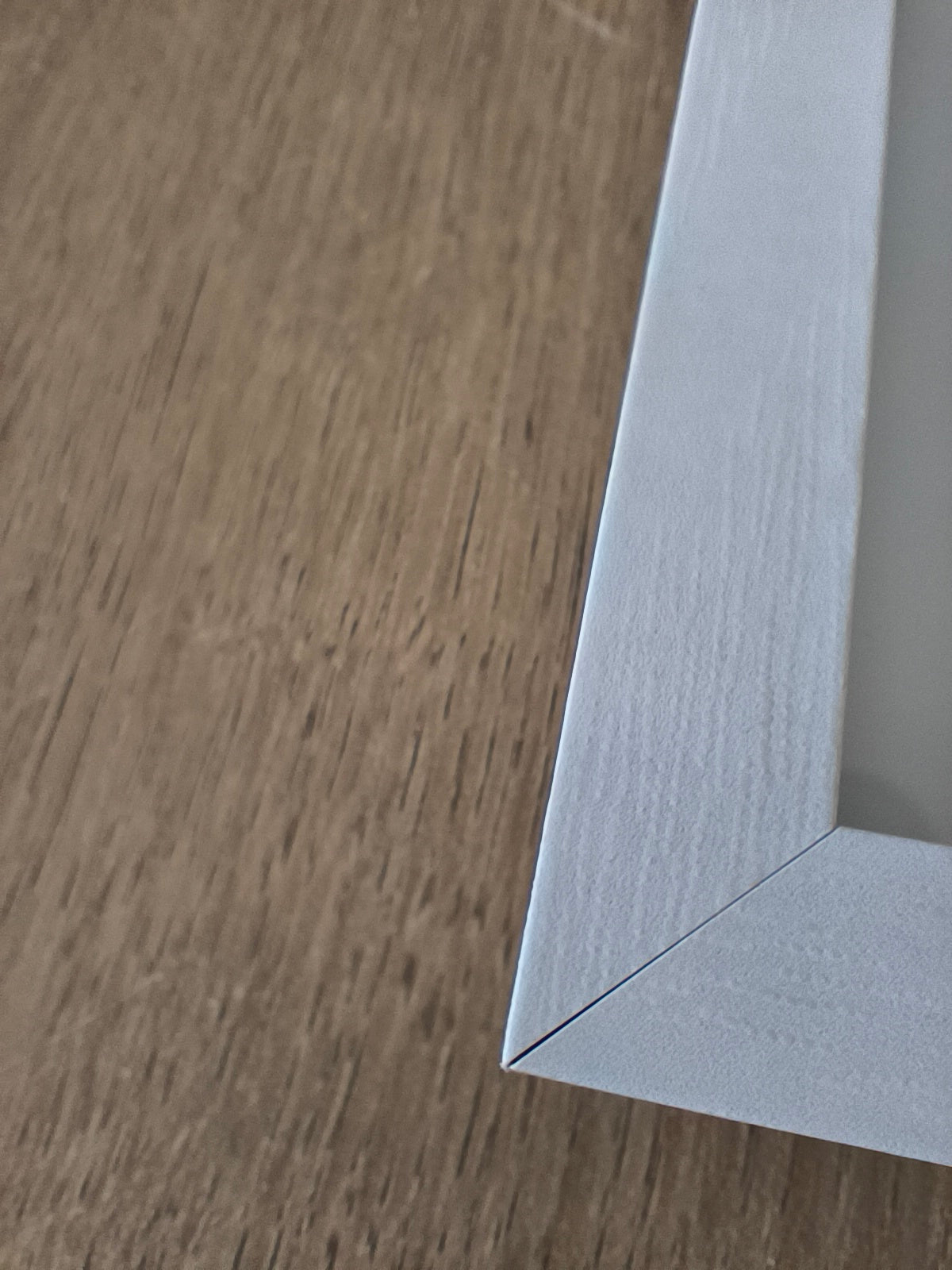 Herbier - Mauve des bois