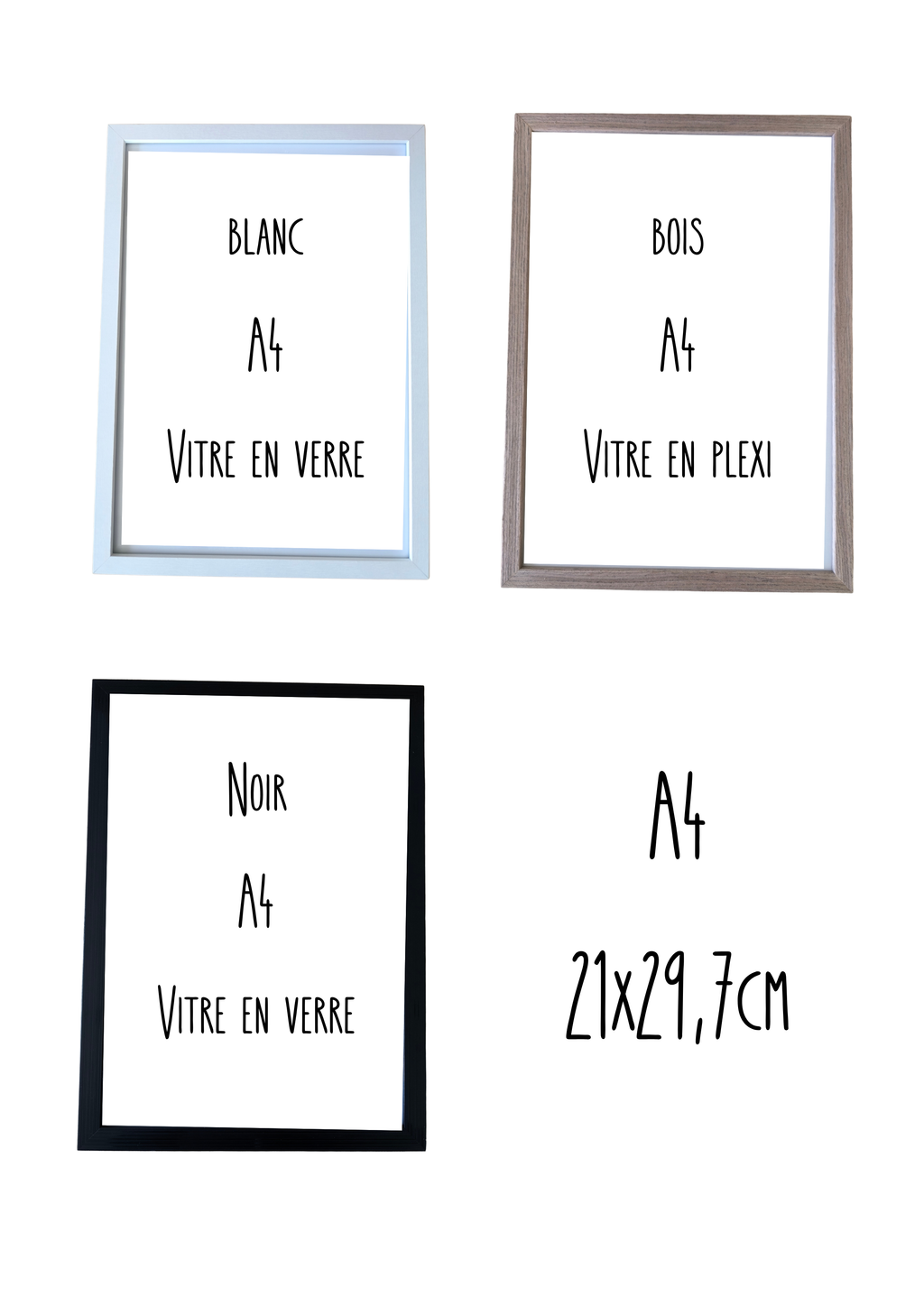 Herbier - Mauve des bois