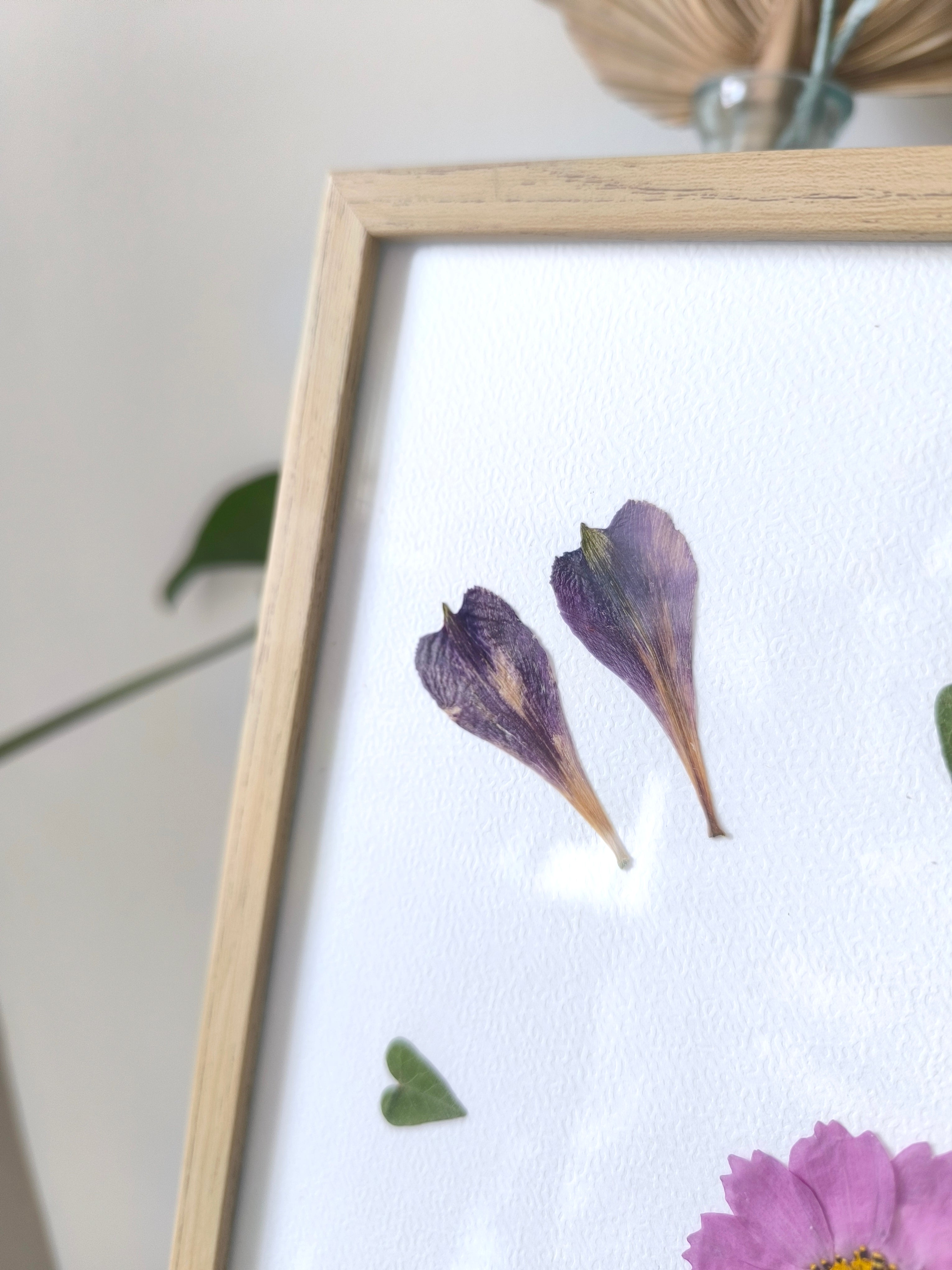 Herbier  - Lys des incas et cosmos