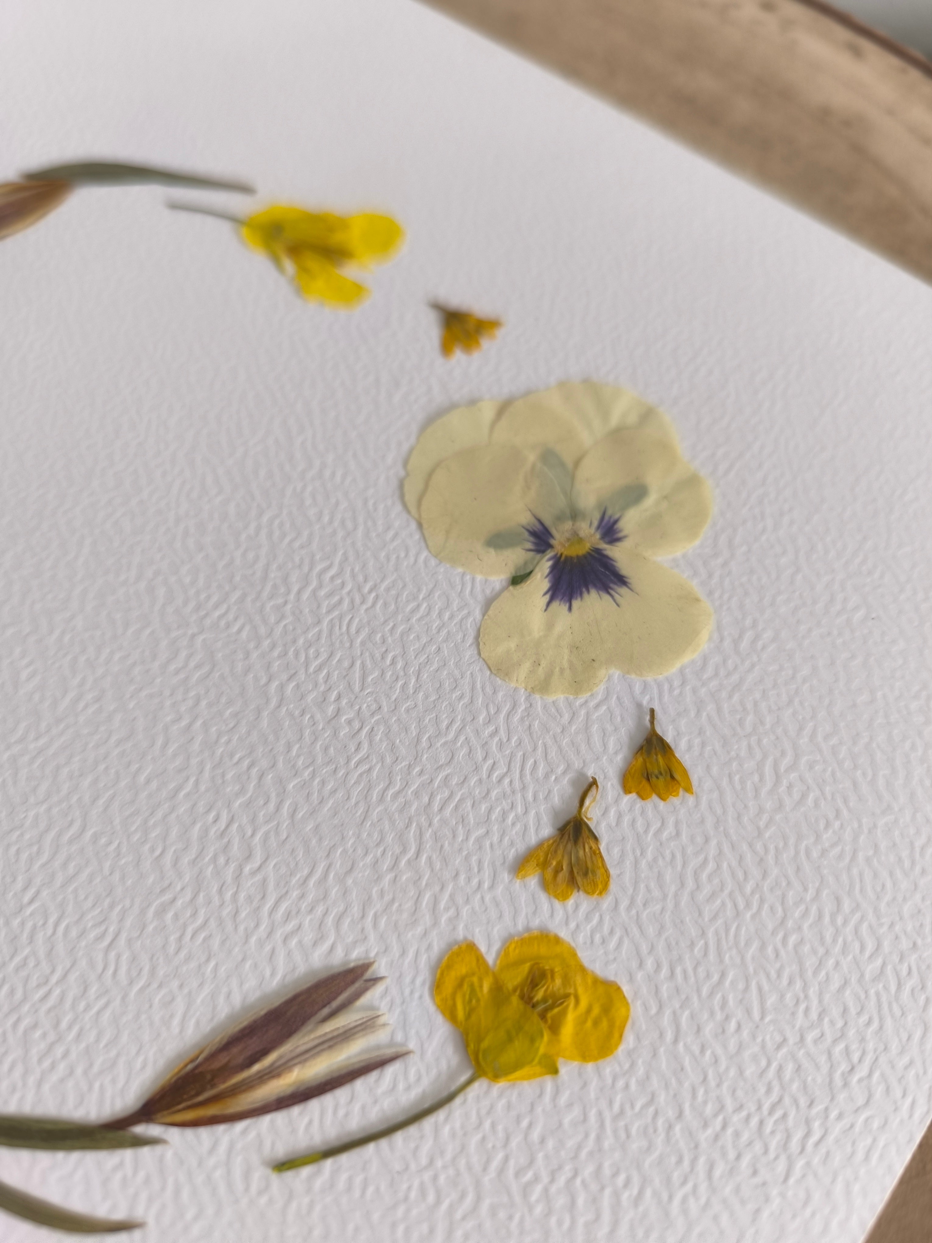 Herbier couronne en fleurs pressées – Couronne Sauvage Printanière