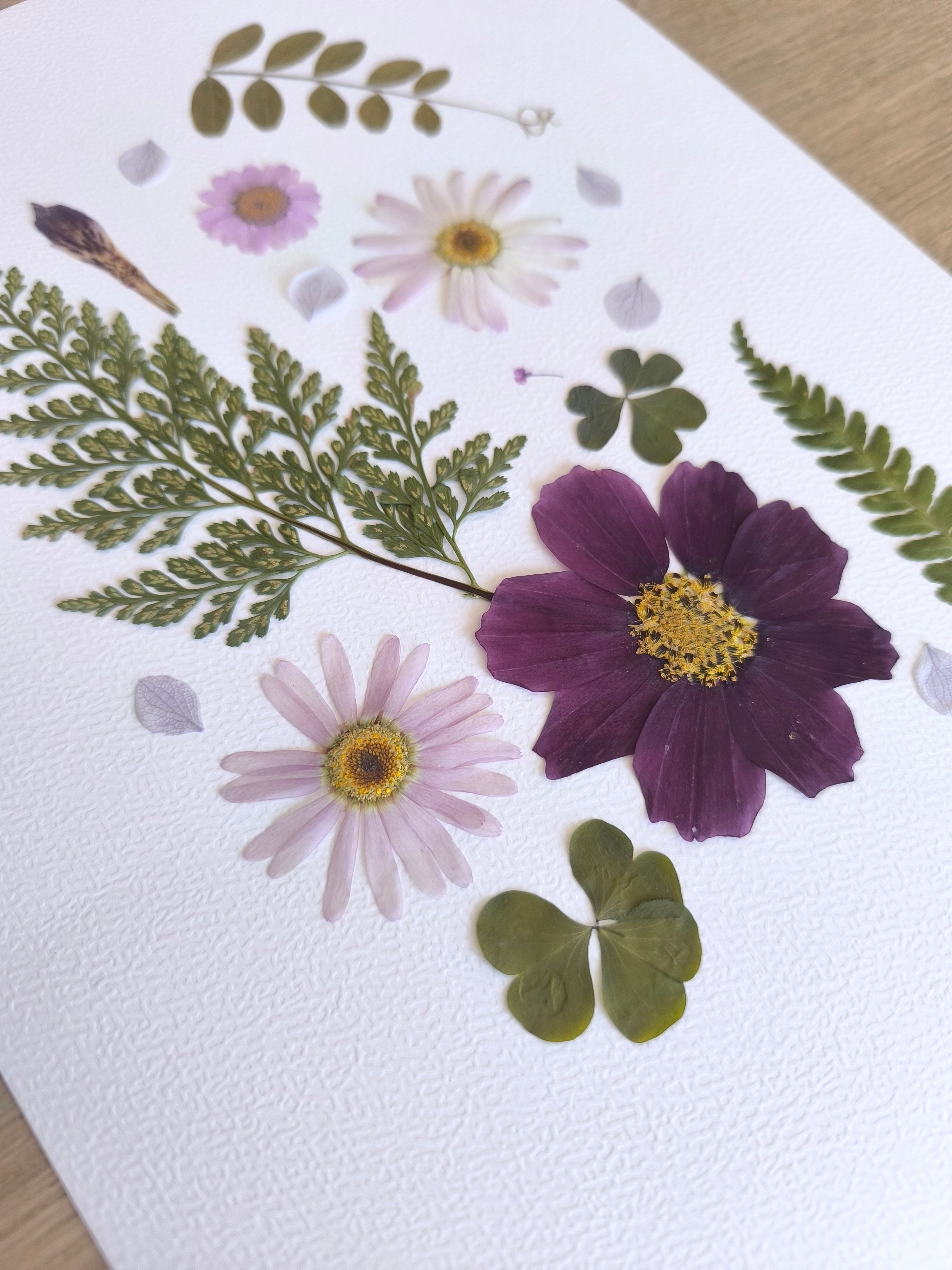 Herbier - Fougère, fleurs de cerisier & verveine