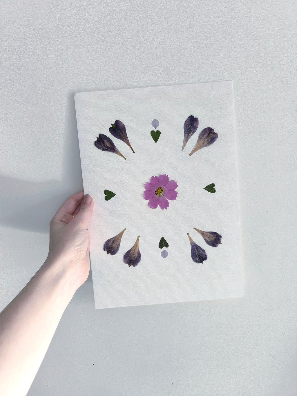 Herbier  - Lys des incas et cosmos