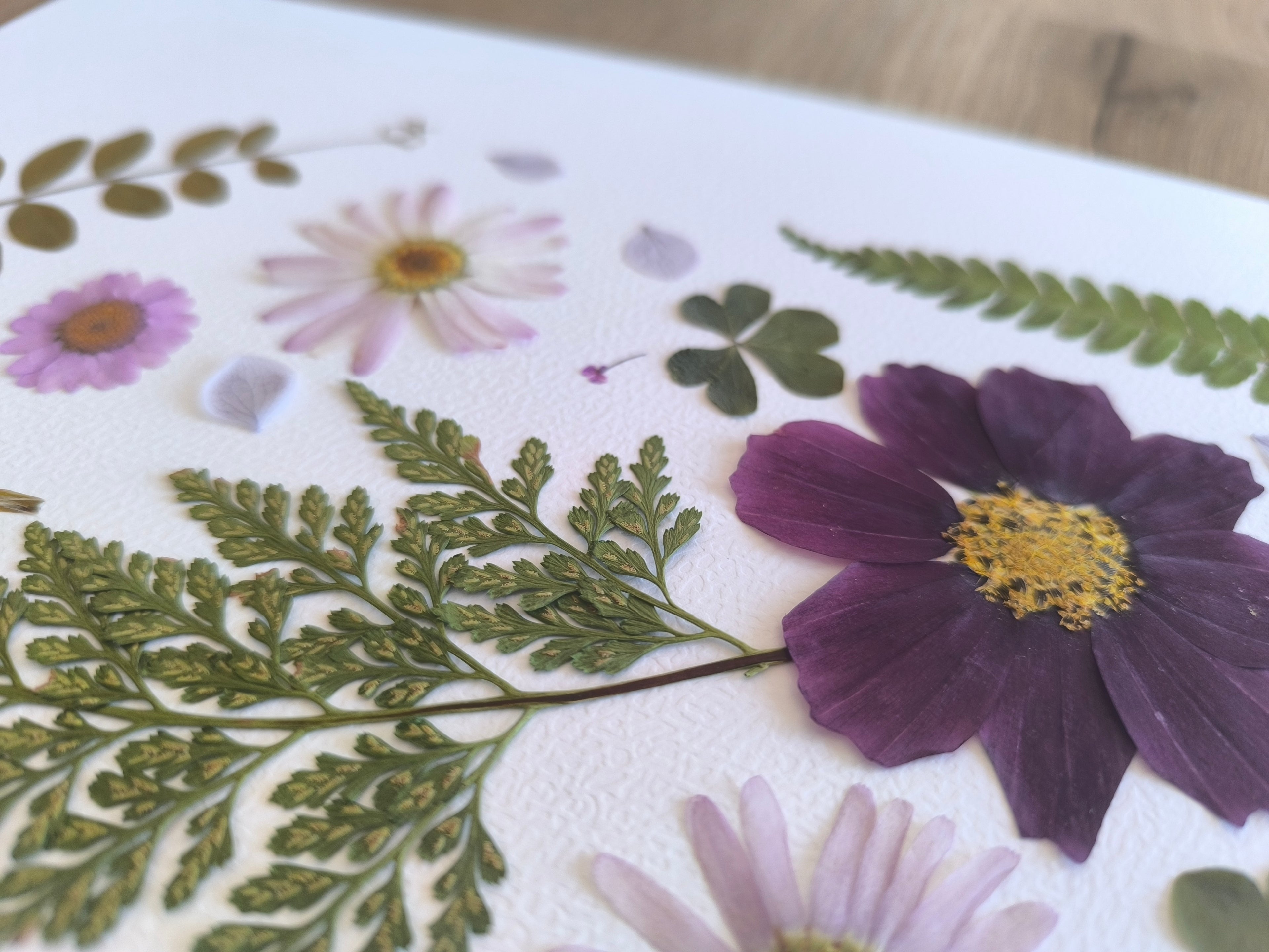 Herbier - Fougère, fleurs de cerisier & verveine